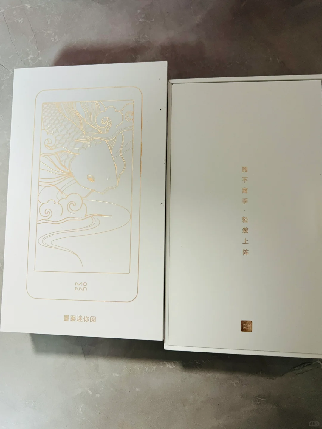 Day 538 国产阅读器 超级便携 读书陪伴