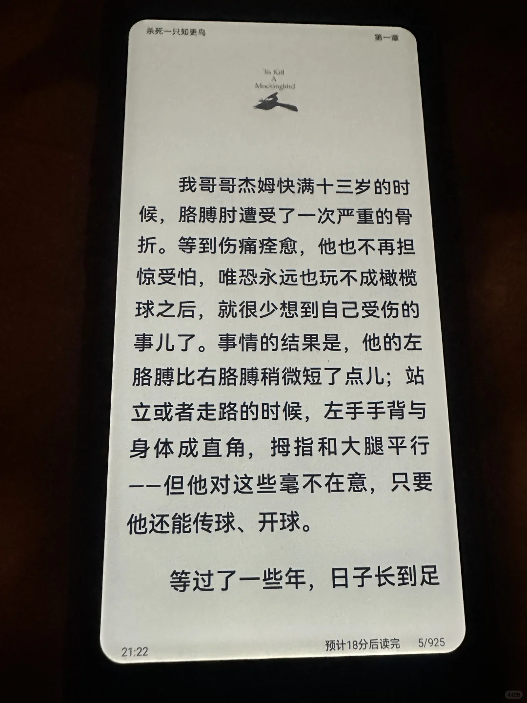 我的掌阅tango到货啦