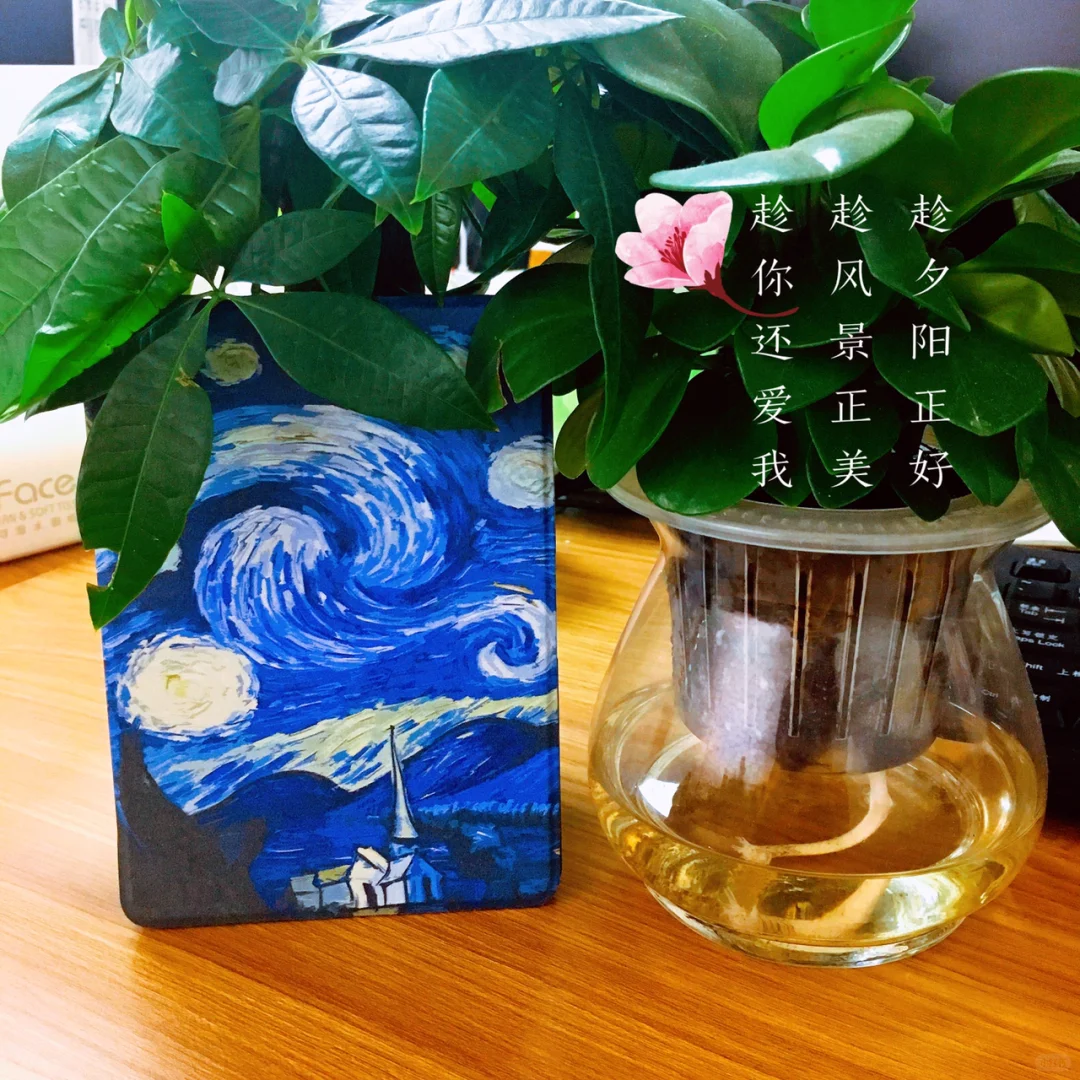 更适合学生党的阅读器