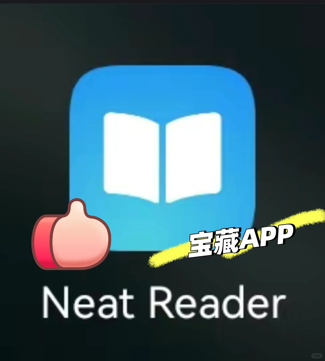 平替微信读书宝藏阅读器！！