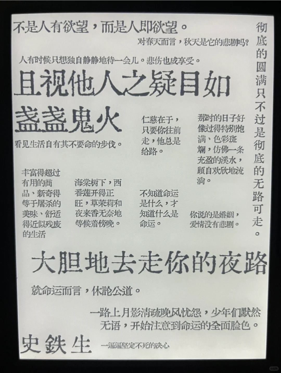 偶尔正直、不太勇敢、缺乏阅读量