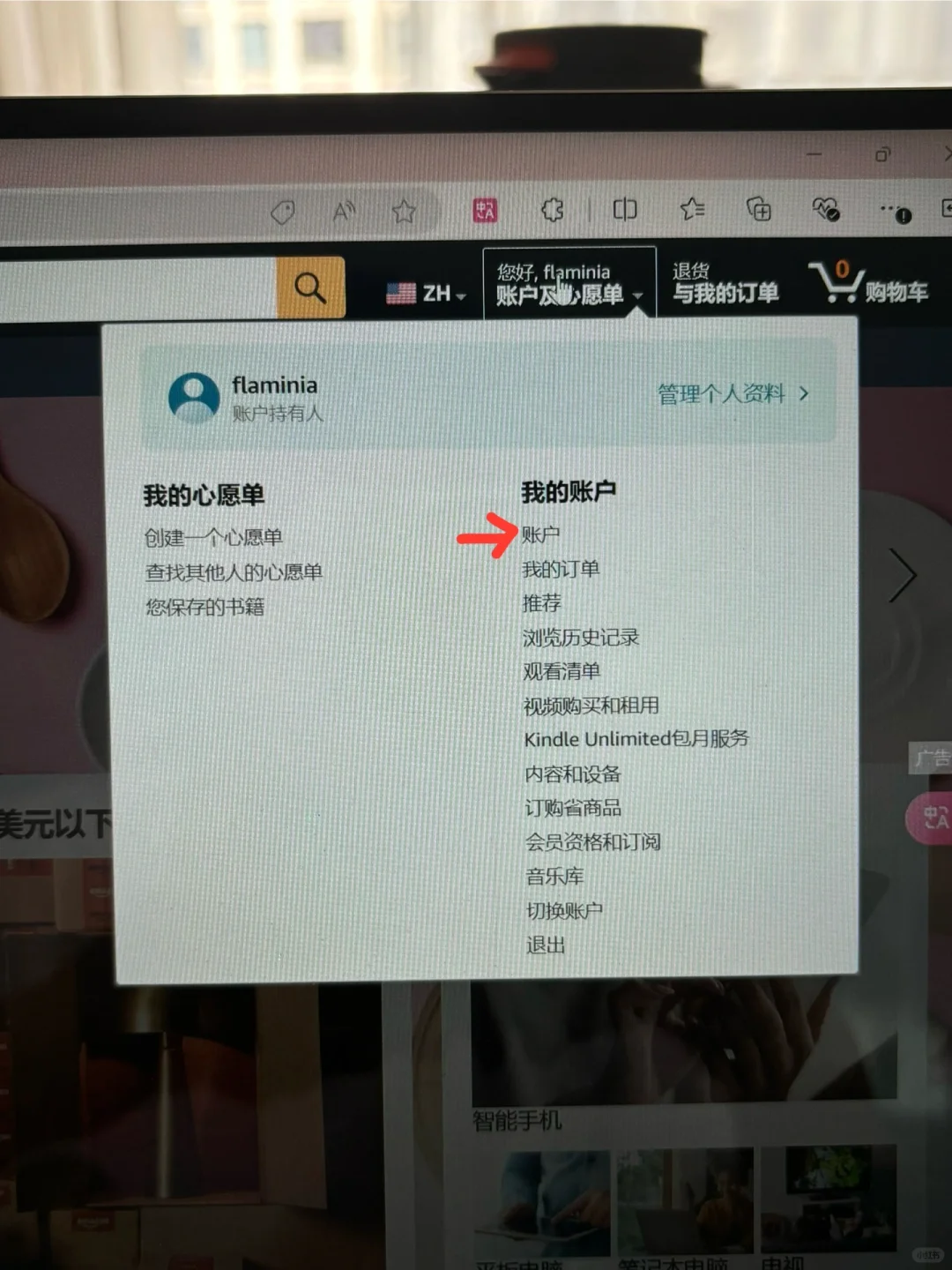 成功将Zlibrary传到kindle啦