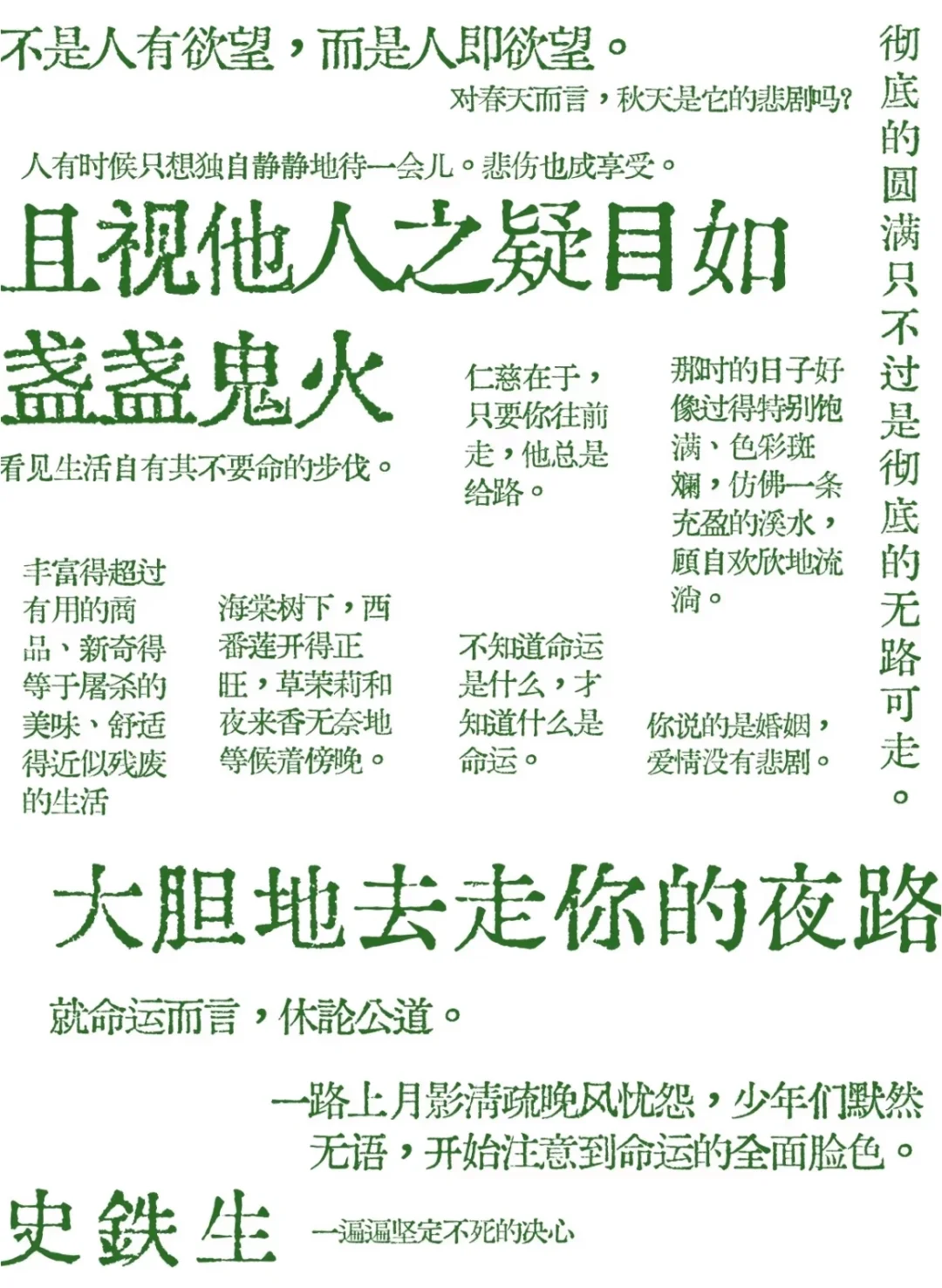 偶尔正直、不太勇敢、缺乏阅读量