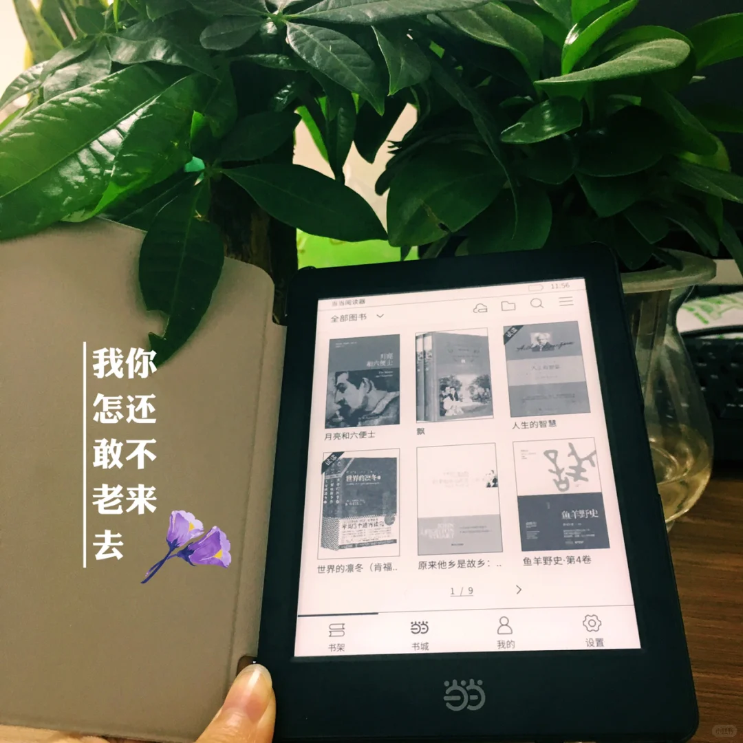 更适合学生党的阅读器