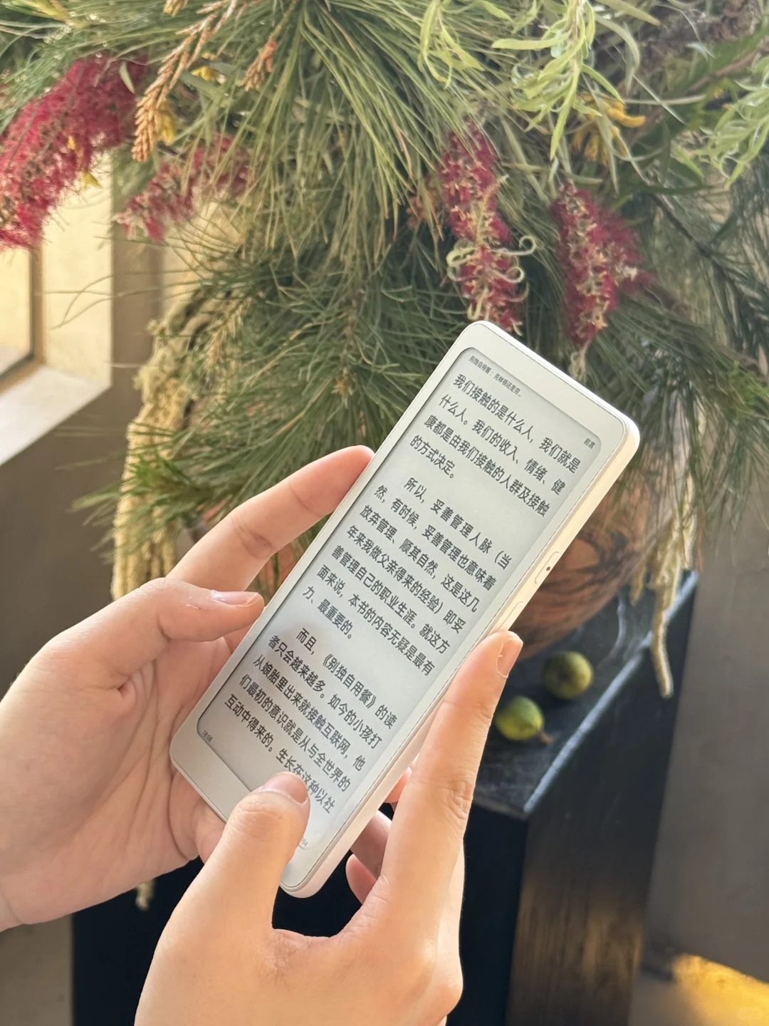 请把博学打在评论区