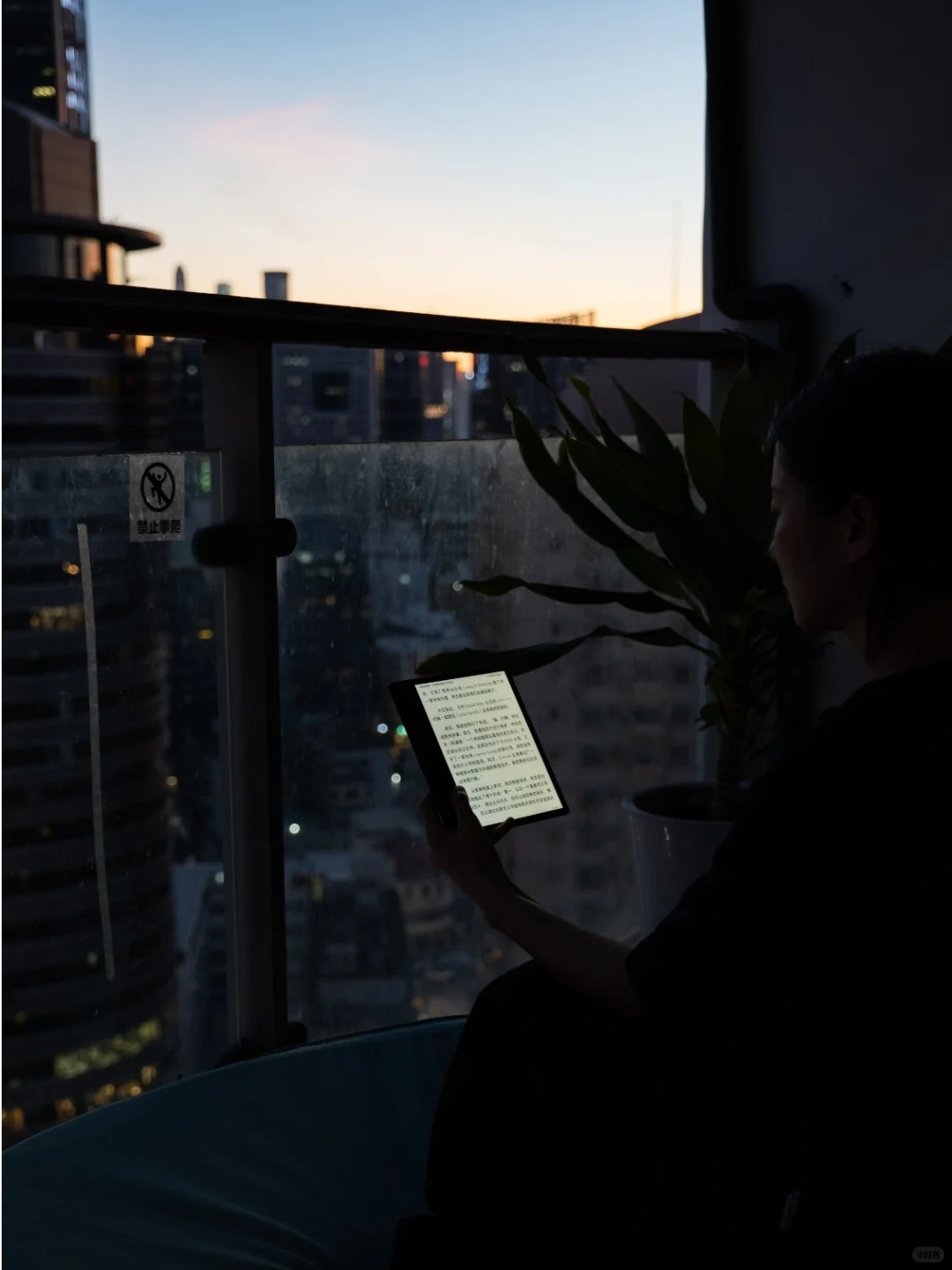 夏日浪漫 ｜在日落傍晚时与iReader一起读书