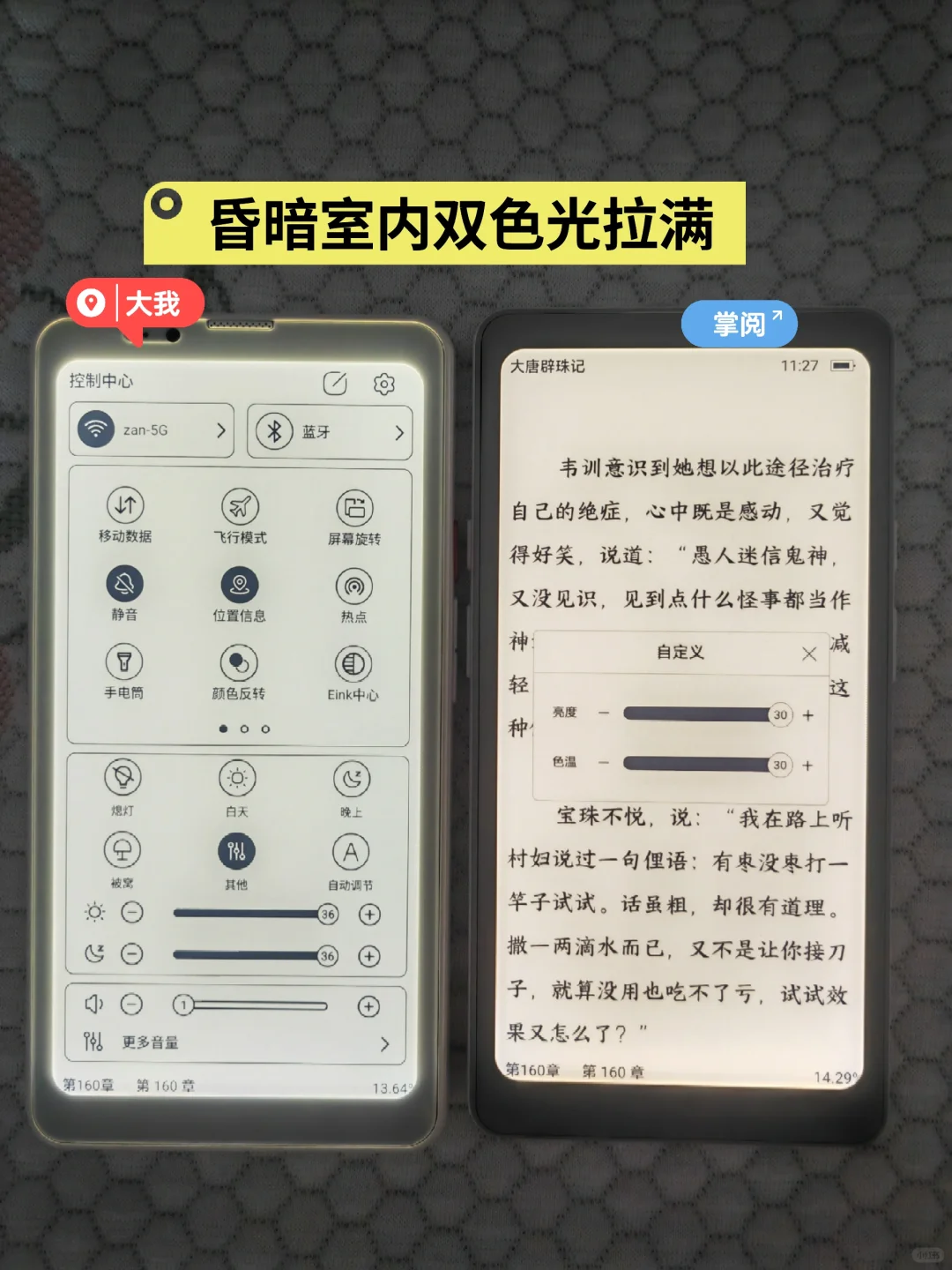 大我pro vs 掌阅Tango