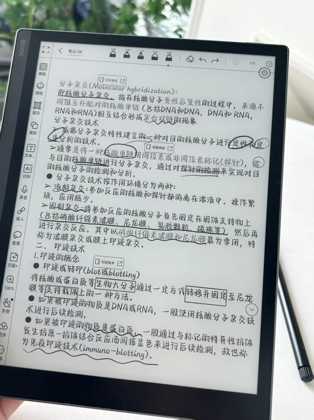 大促入的文石notex3pro安全下车！