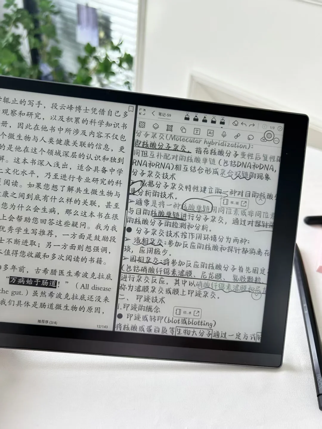 大促入的文石notex3pro安全下车！