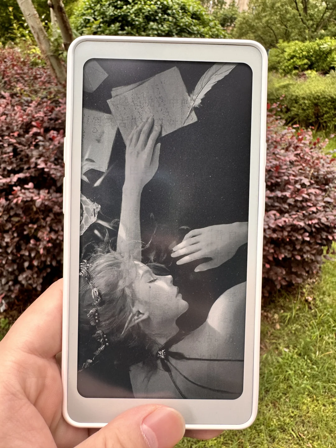 白色 Tango 体验