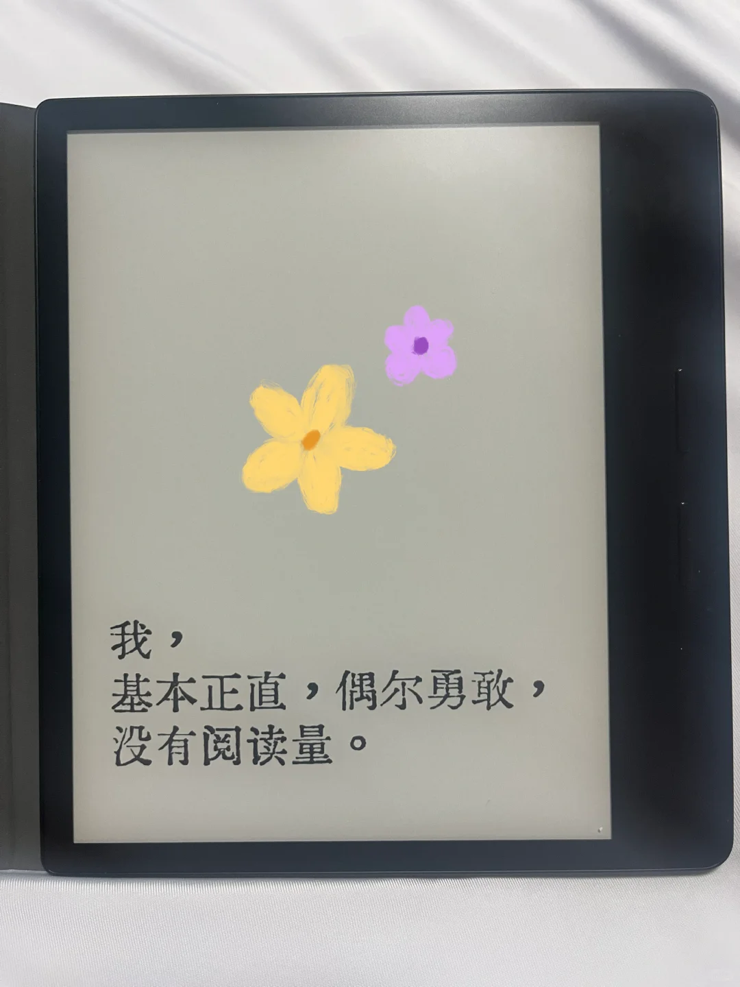 电纸书小幸运