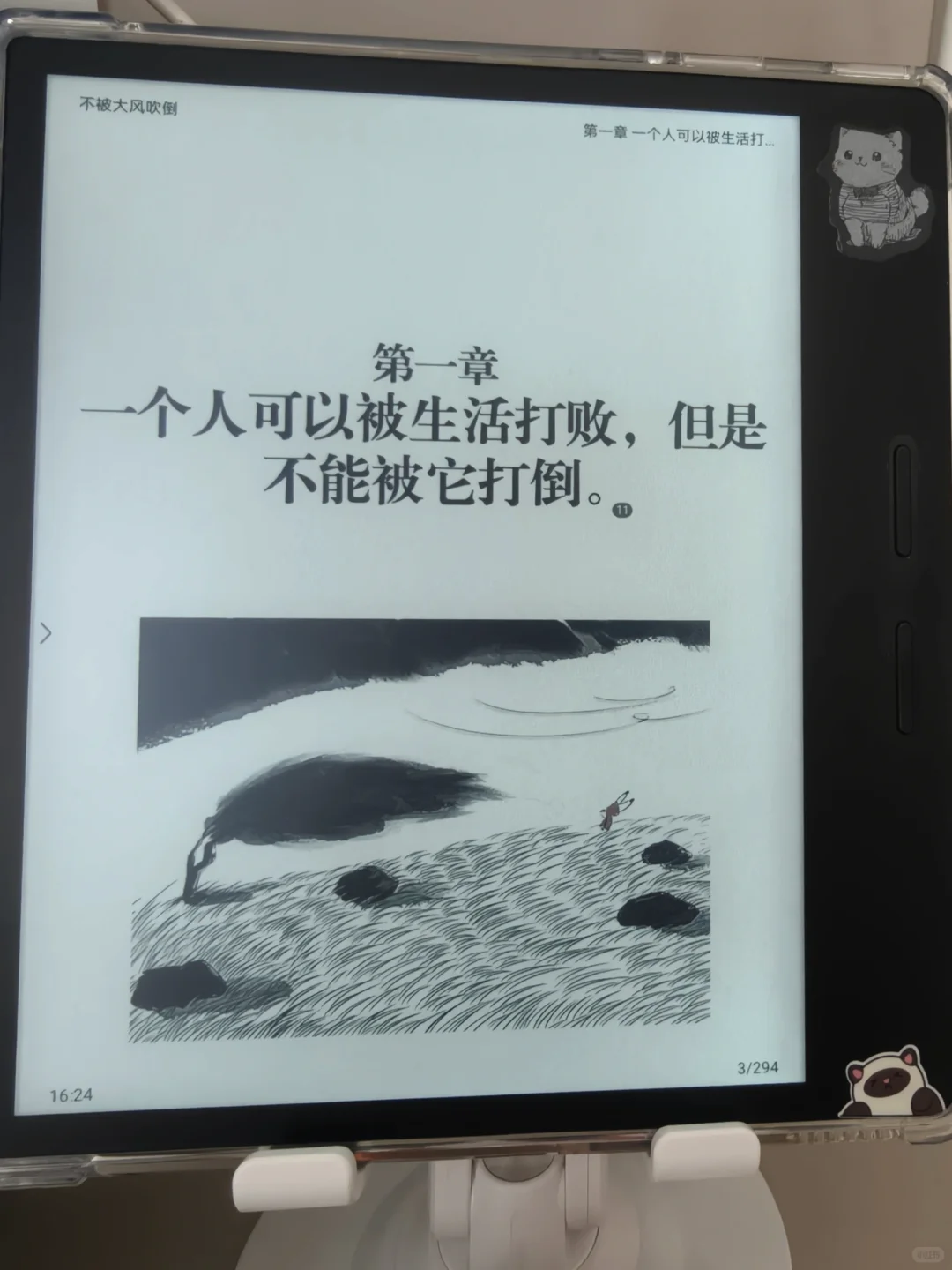 彩色的阅读器