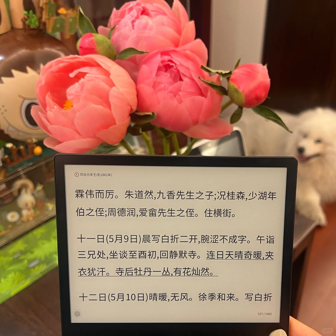 好耶｜是墨水屏｜眼睛有救啦