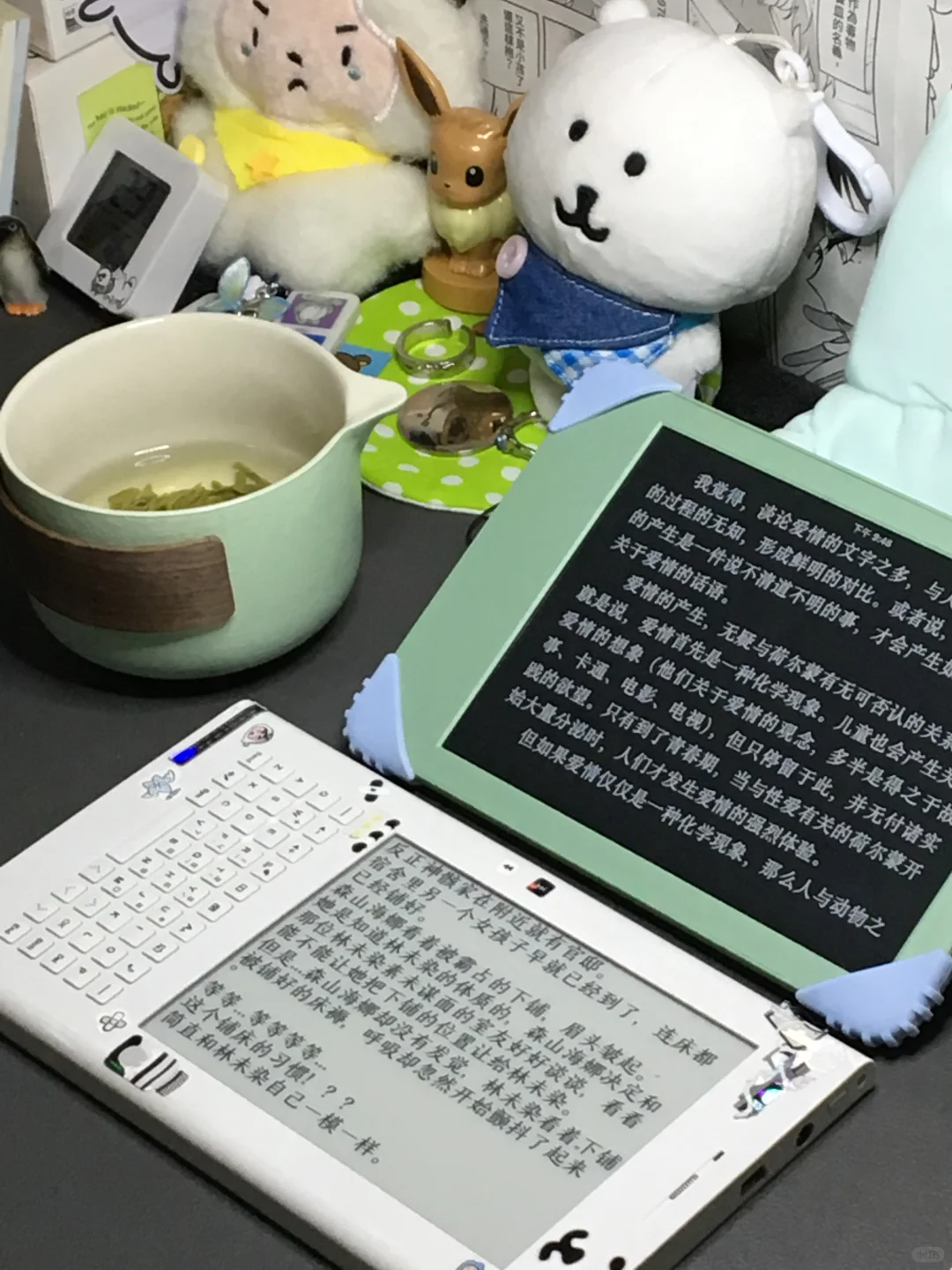好横的两台电纸书