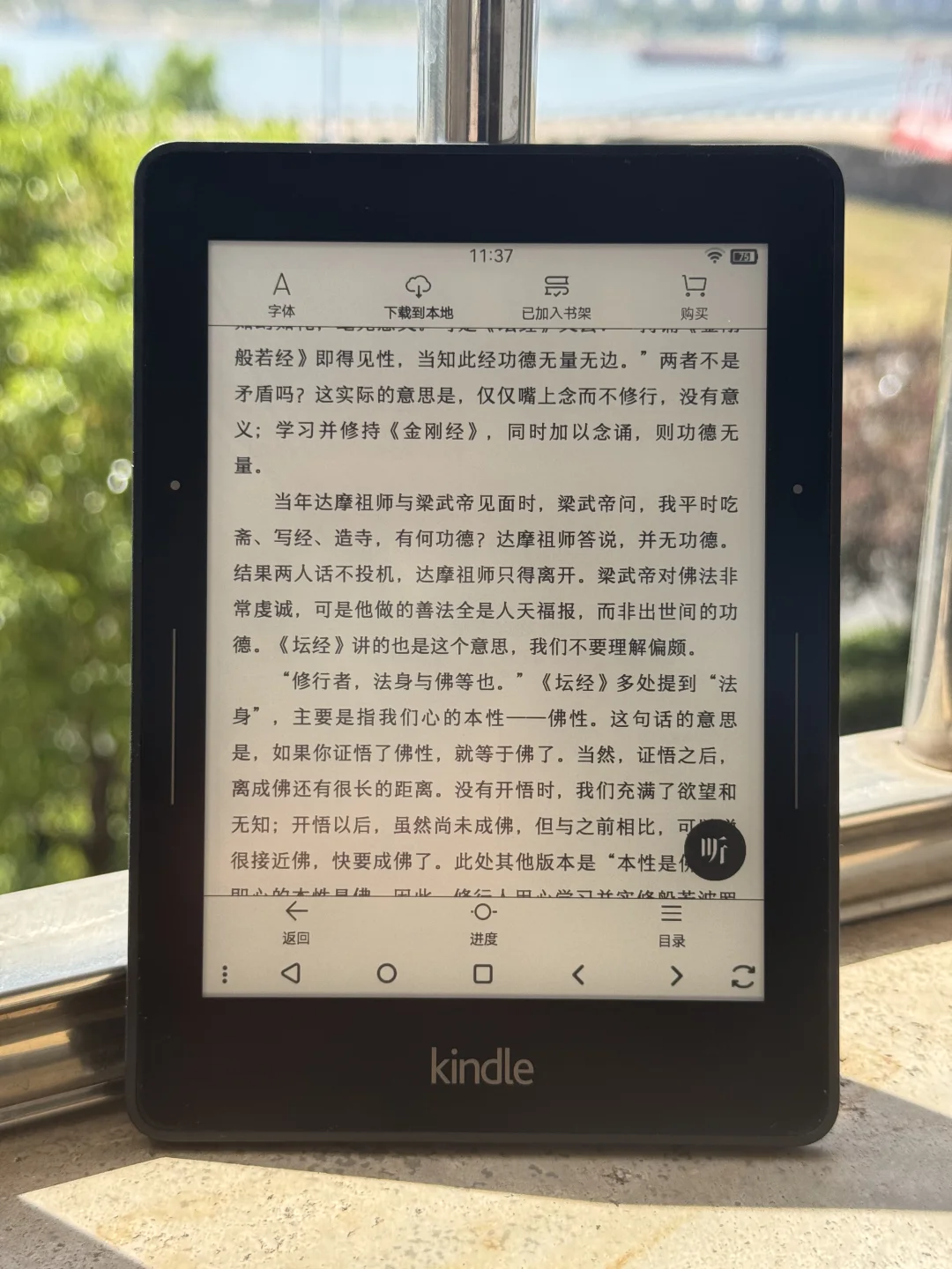kv在阳光下