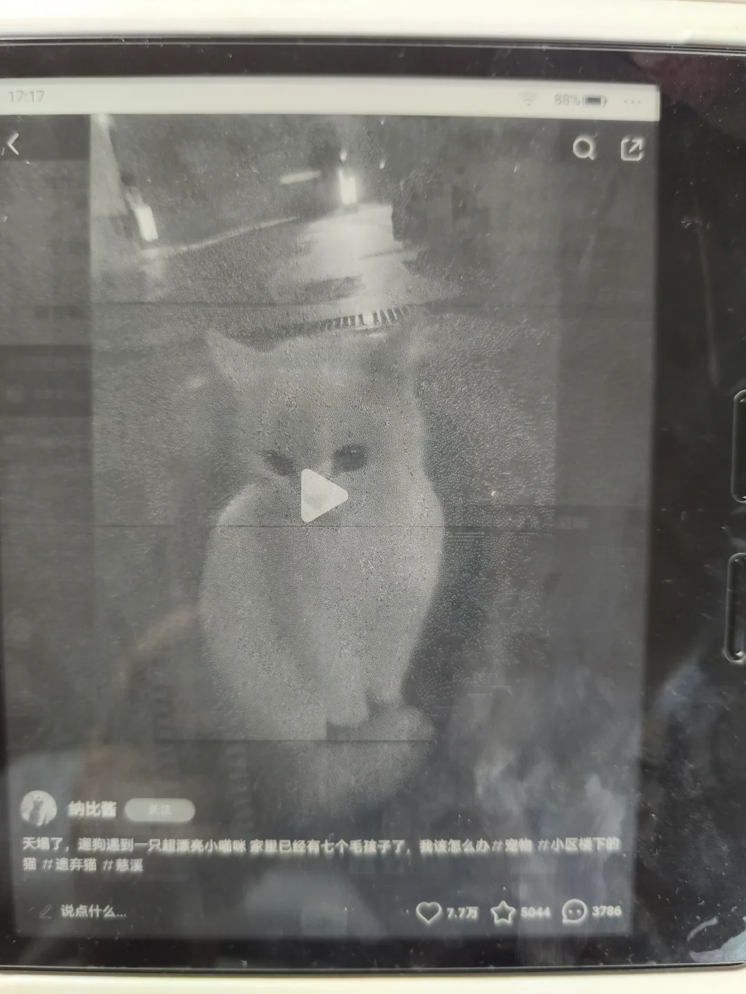 这河里吗？掌阅o4t第三方软件一开就有横线