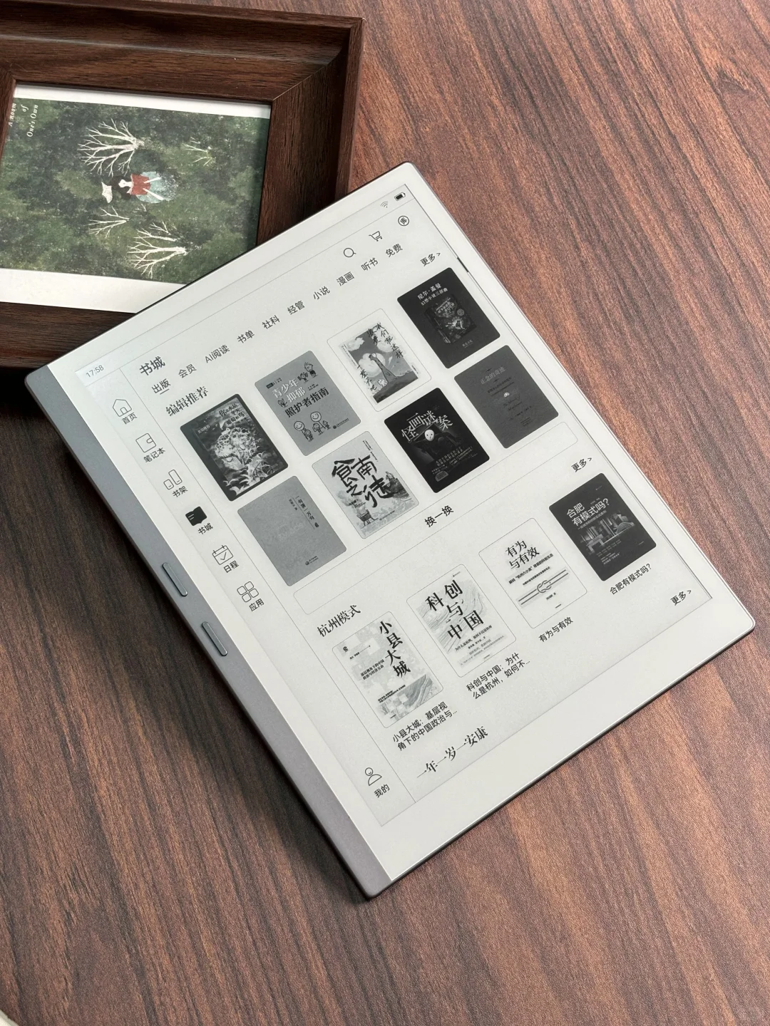 iReader Smart X5 Ultra