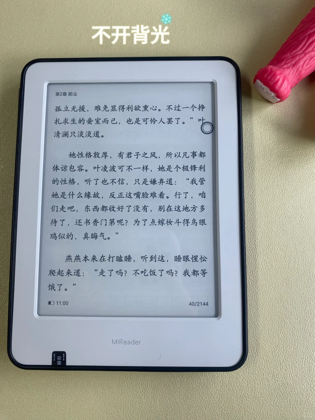 我家貌美的小灰灰啊