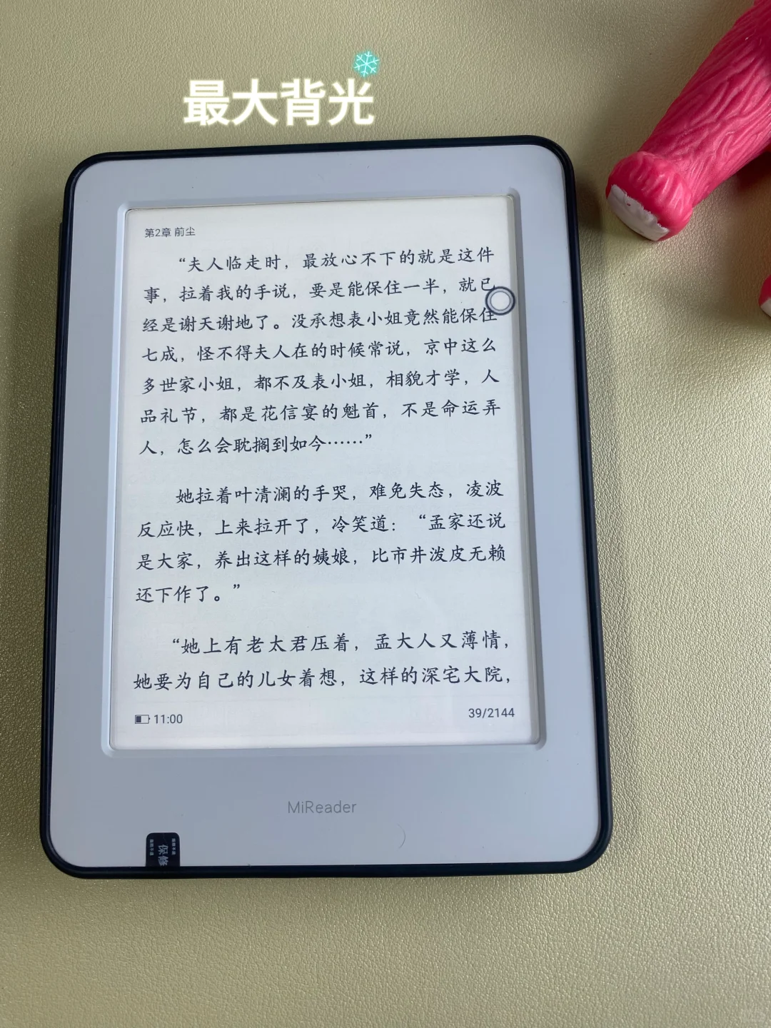 我家貌美的小灰灰啊