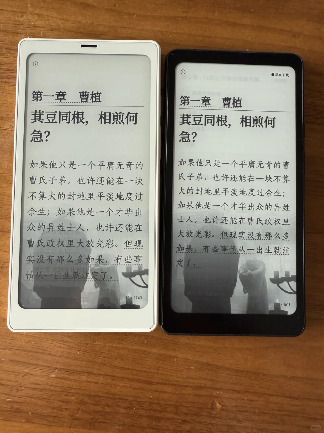 小白马和 tango 武士黑对比图