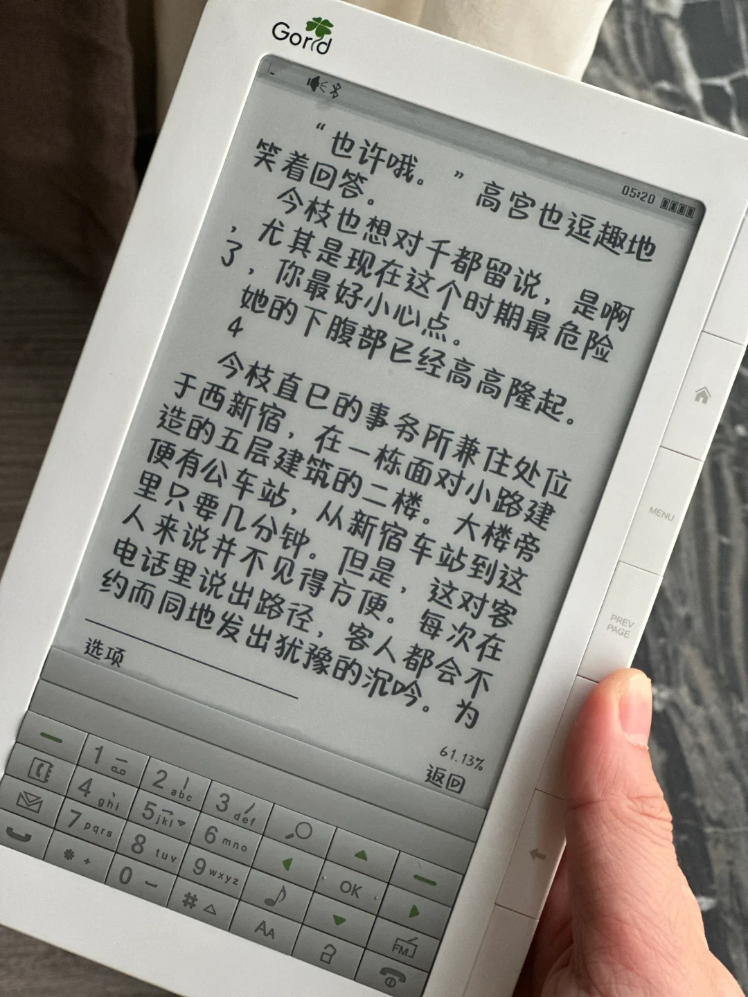 血气方刚的毕升 T600