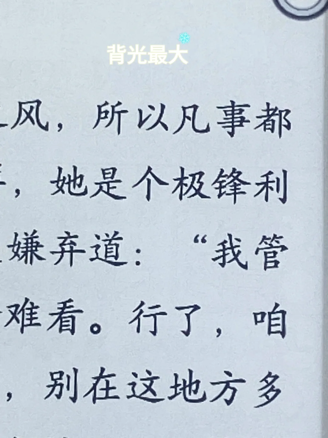 我家貌美的小灰灰啊