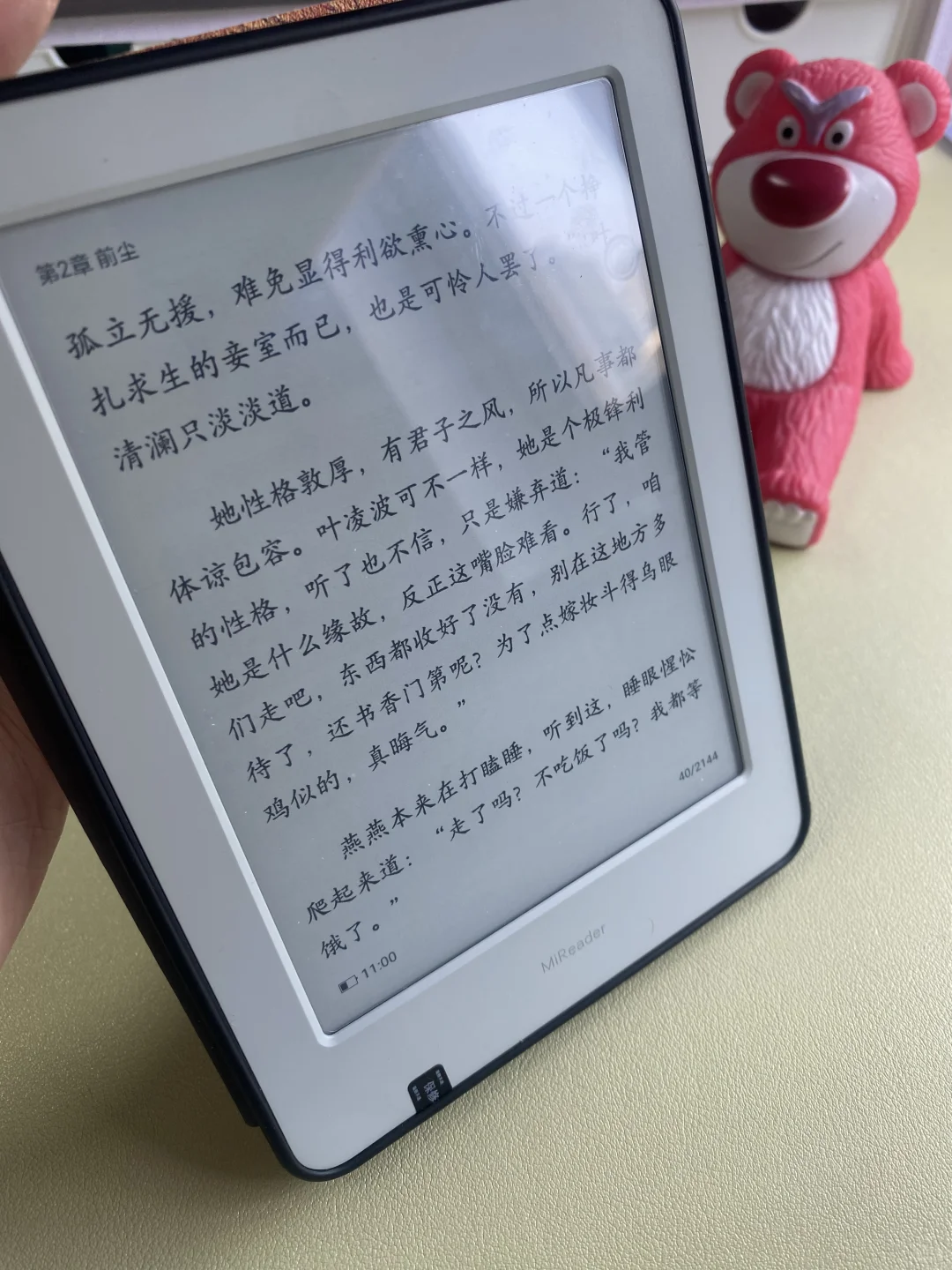 我家貌美的小灰灰啊