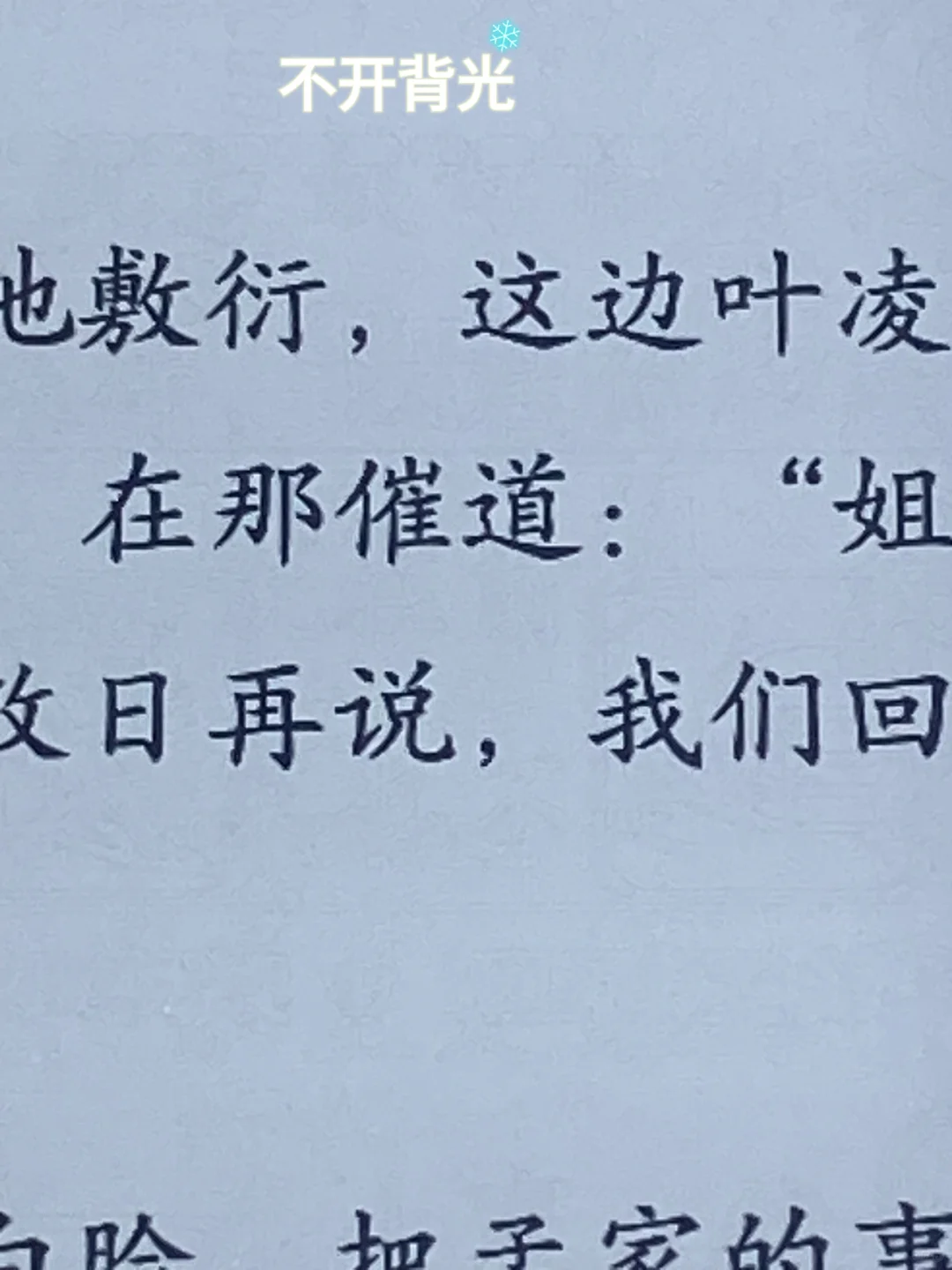 我家貌美的小灰灰啊