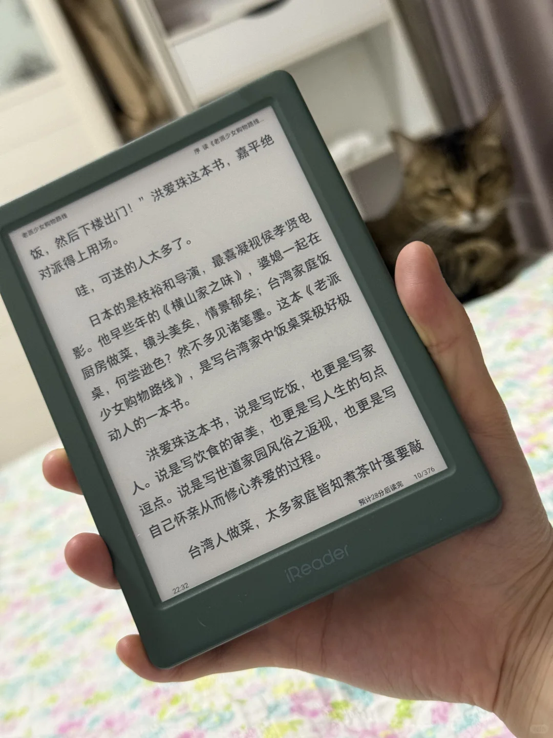 买了阅读器后平静的日常