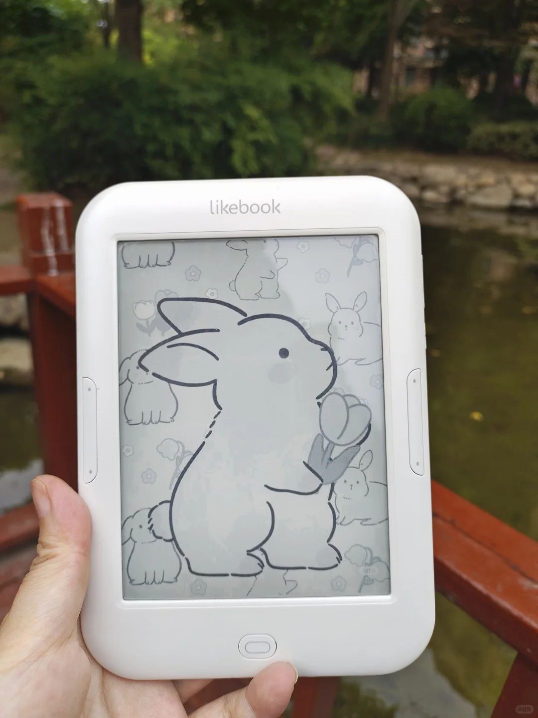 一整个爱上我的电子书阅读器📖