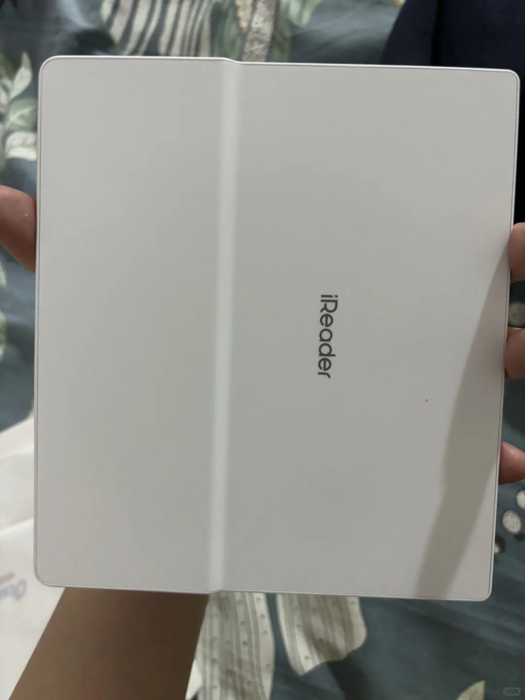 掌阅ocean4长续航2025使用两晚体验