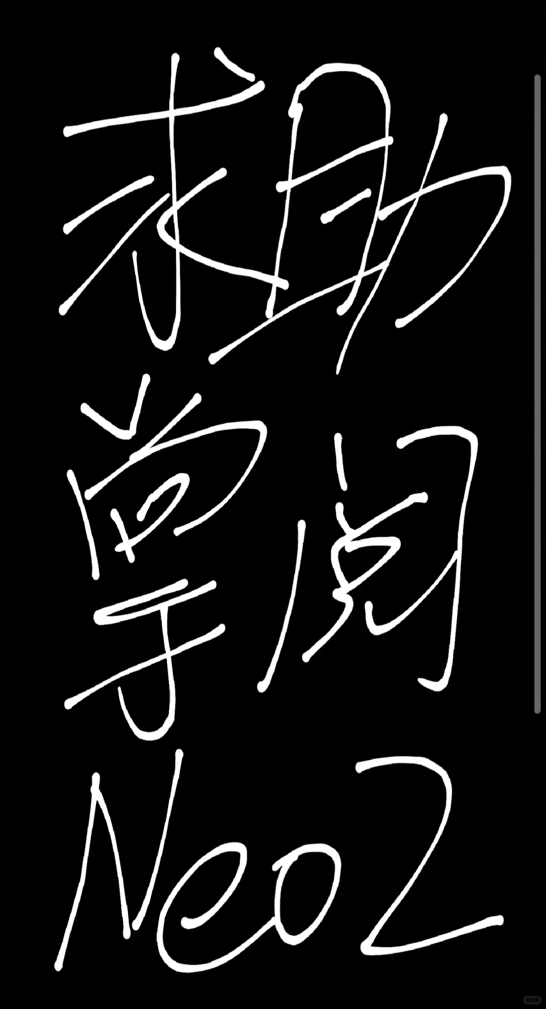 求助！掌阅Neo2