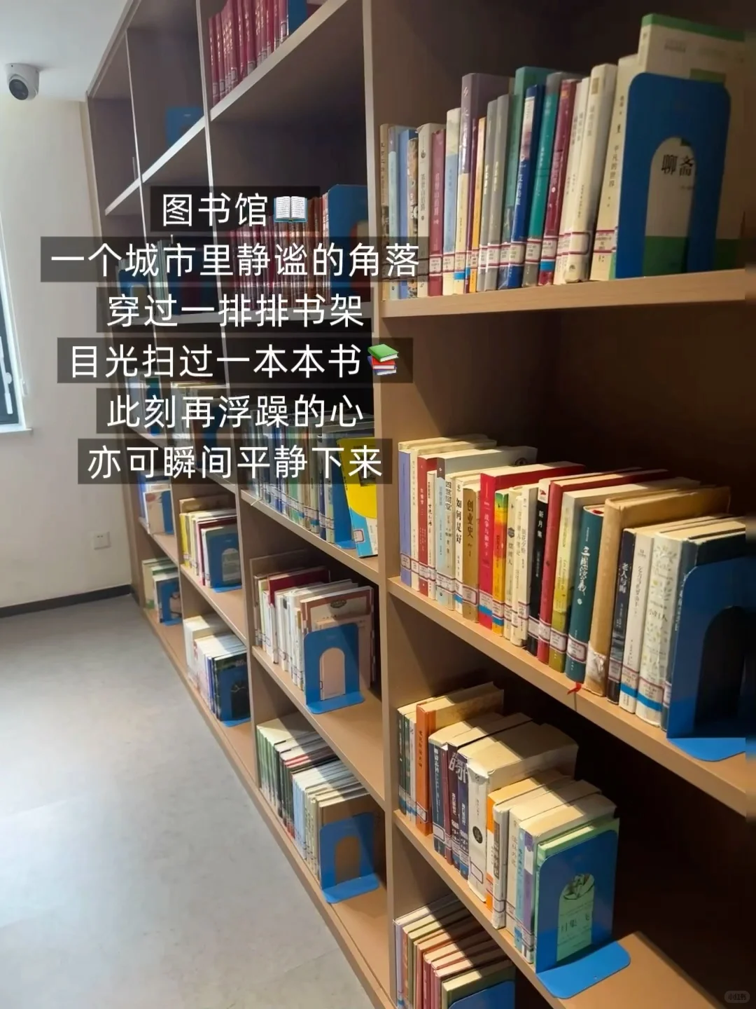 躲进图书馆的下午📚 | 治好了我的焦虑✨