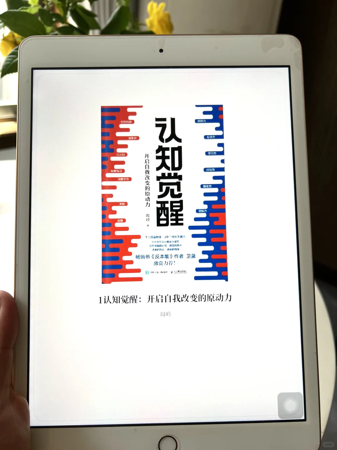 是谁！！都25年了 还没有实现电子书自由？？
