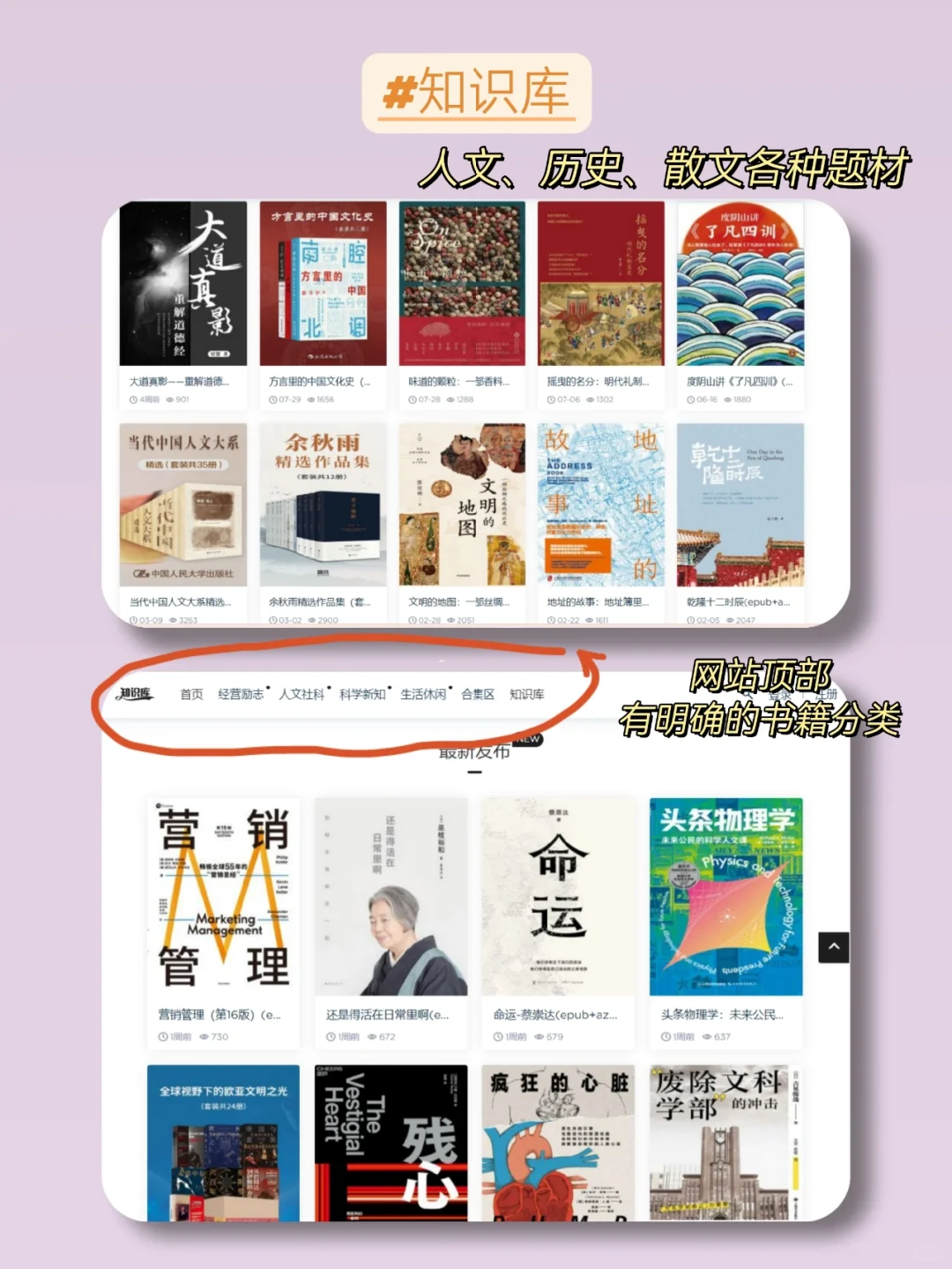 免费看书网站分享📖实现电子书自由