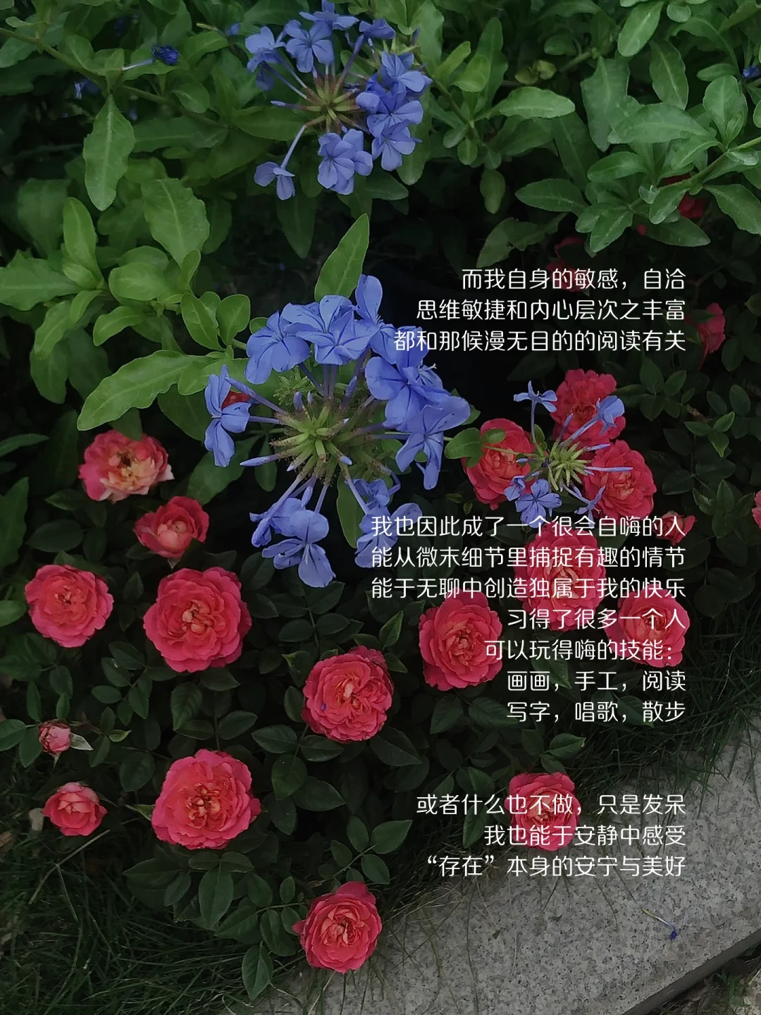 “无意义”阅读，使我鲜活且自由