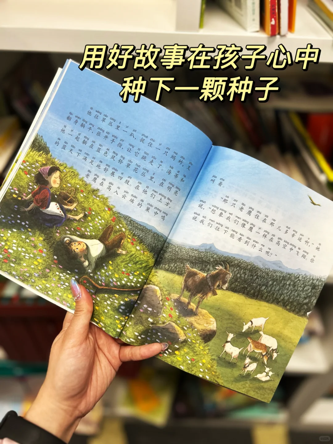 选桥梁书一定不能错过这套！熬夜也要看完