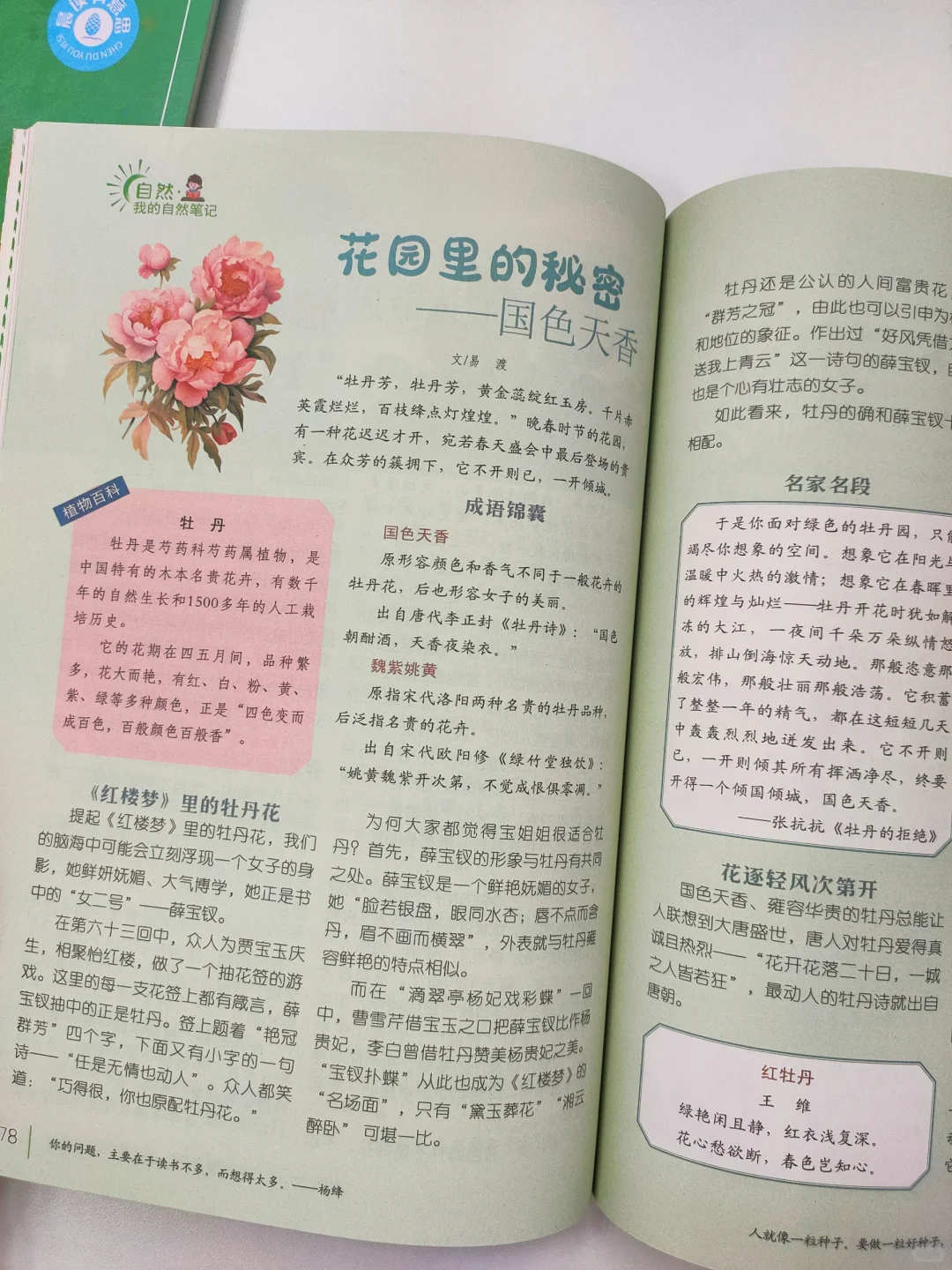 强推一套好书，让娃爱上阅读学会写作桥梁书
