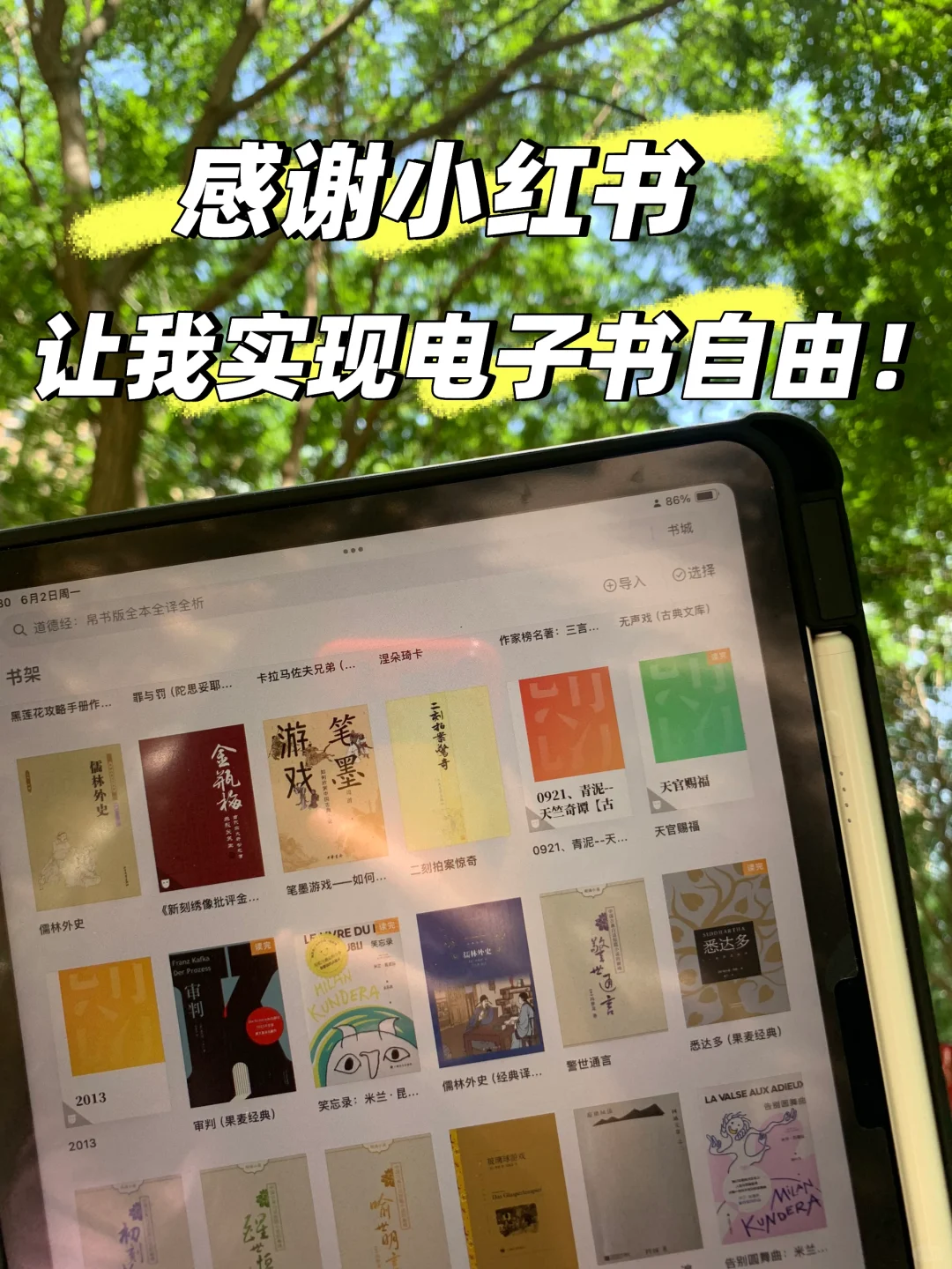 2025！我终于实现电子书自由了！！！