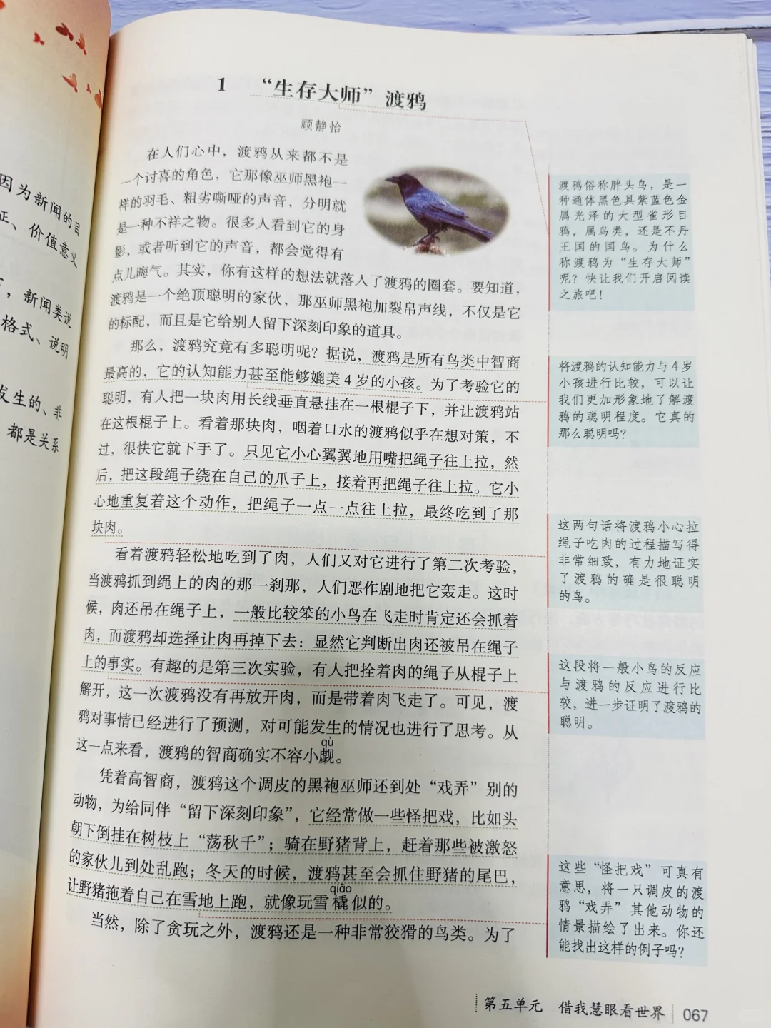 考试风向标《人民日报》又又又出新书啦！！