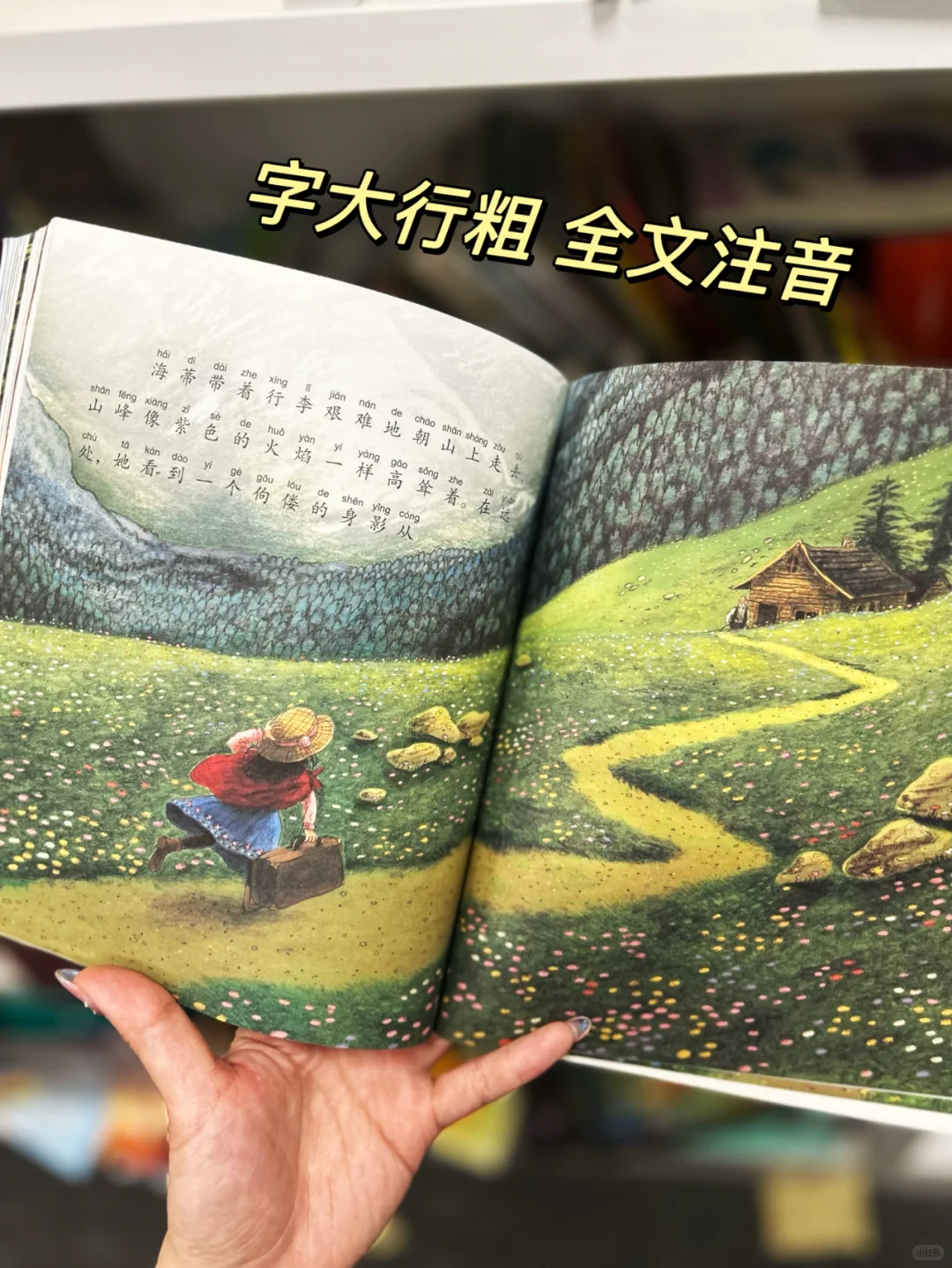 选桥梁书一定不能错过这套！熬夜也要看完
