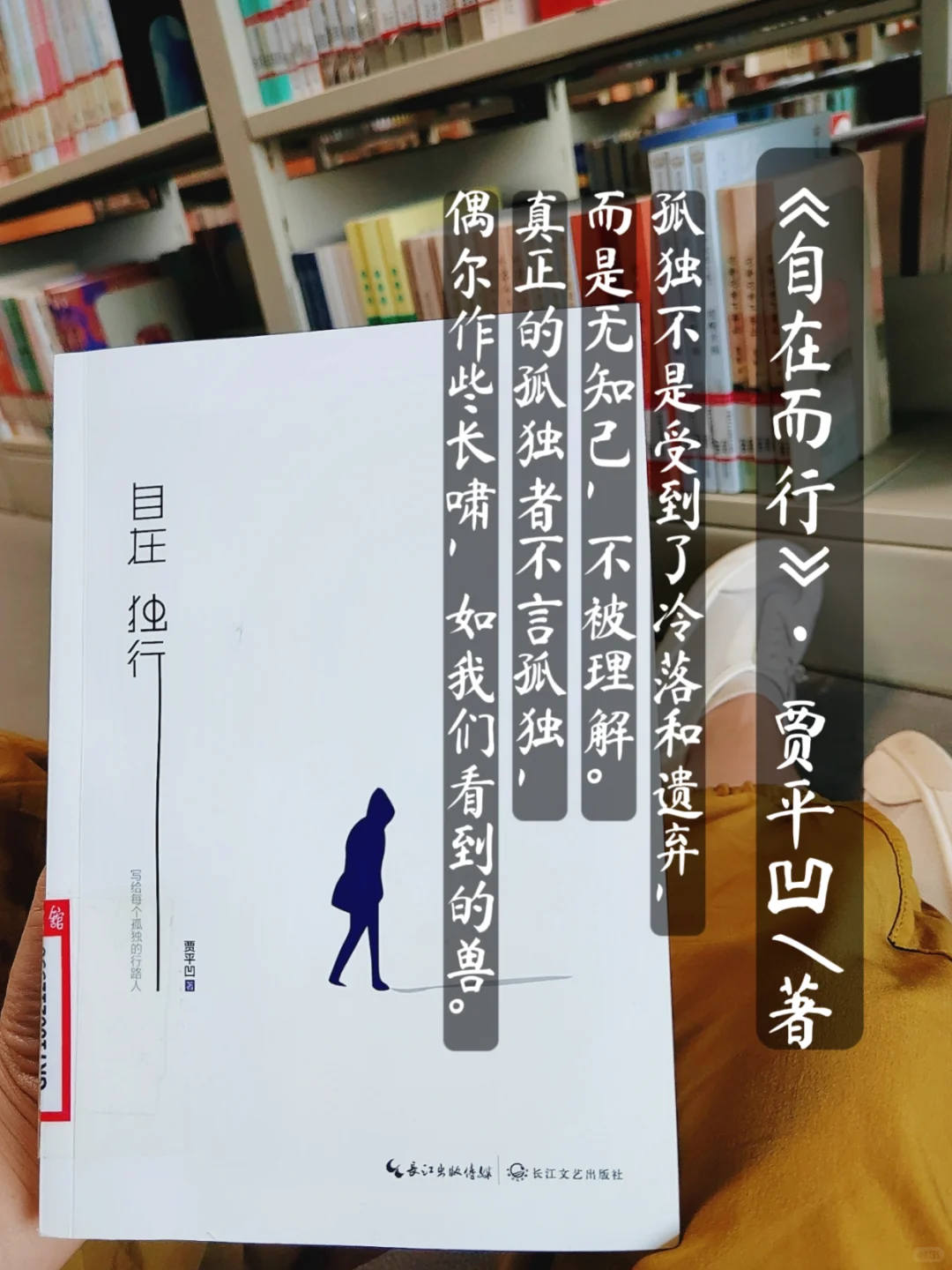 沉浸式阅读•自在独行•贾平凹著
