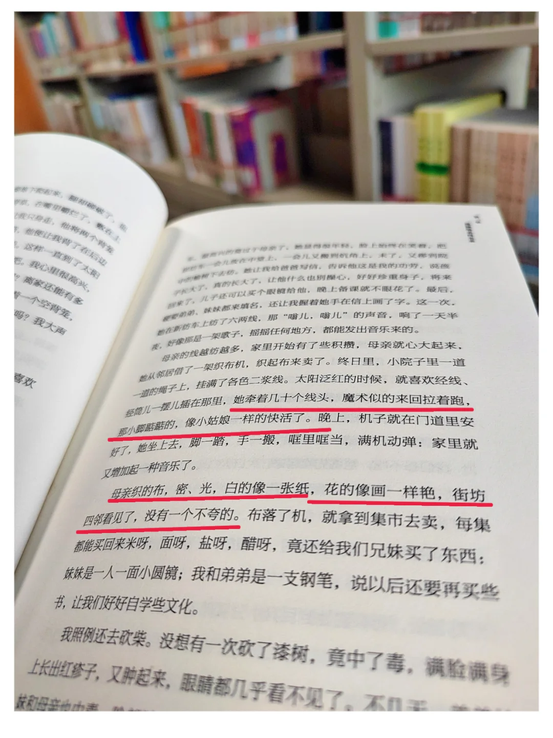 沉浸式阅读•自在独行•贾平凹著