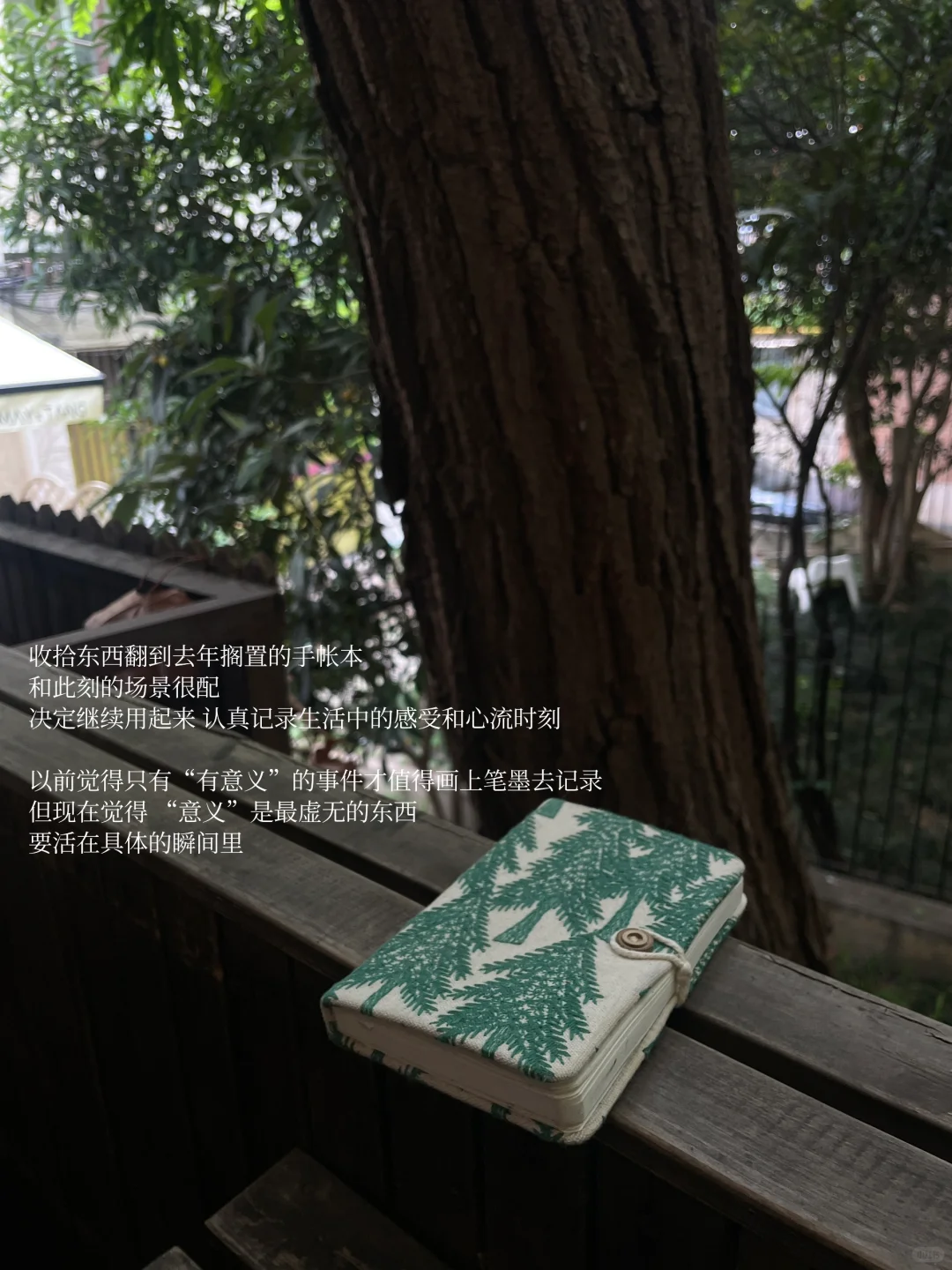 她的周末，独处、读书、晒太阳，平静也自由。