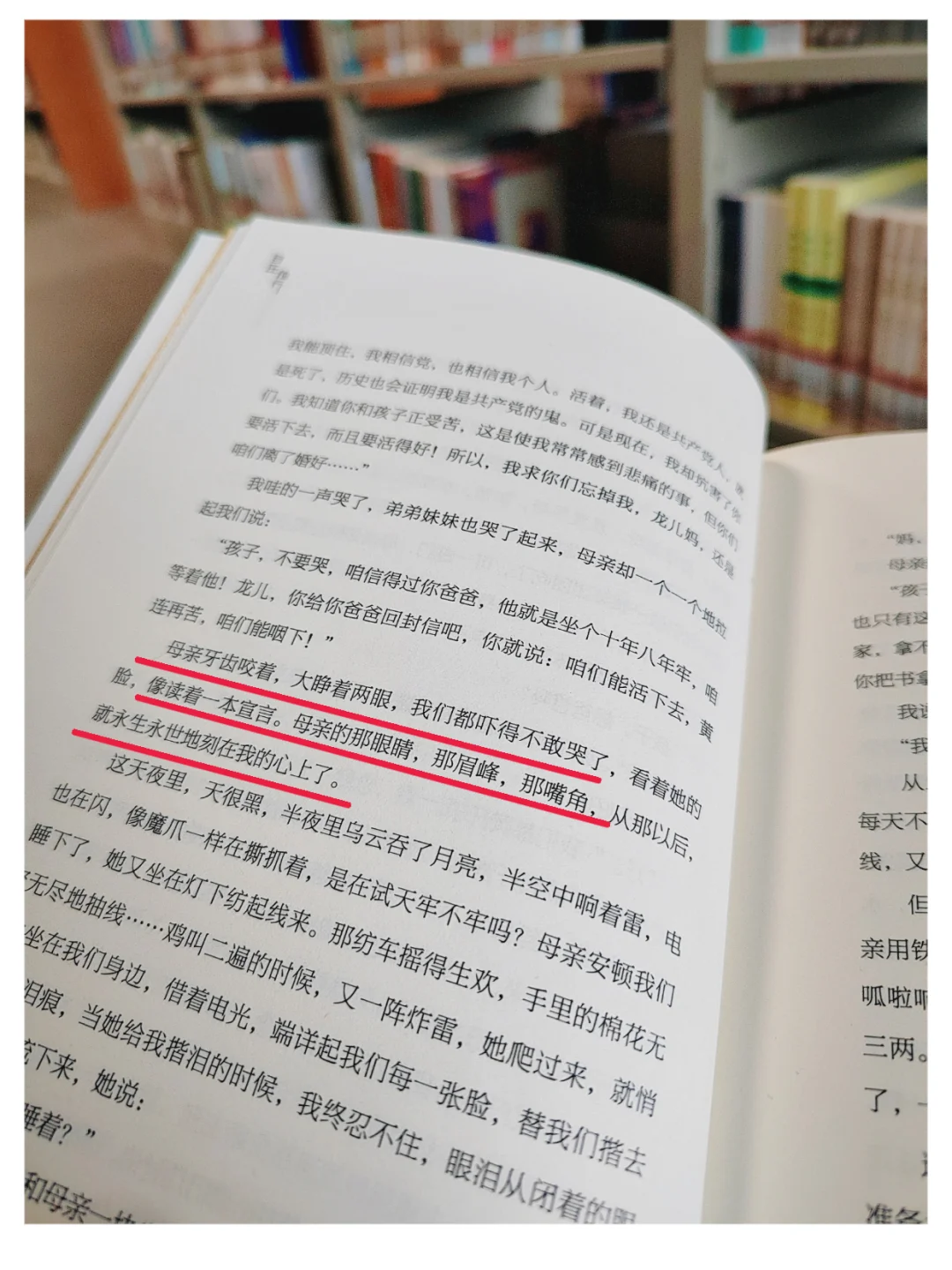 沉浸式阅读•自在独行•贾平凹著