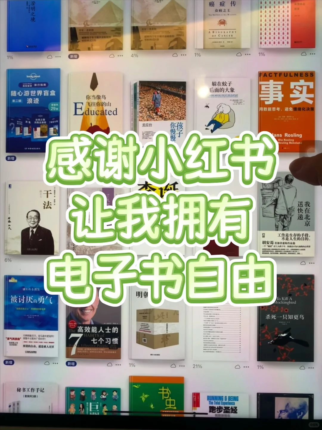 iPad神仙用法❗️轻松电子书阅读自由啦~