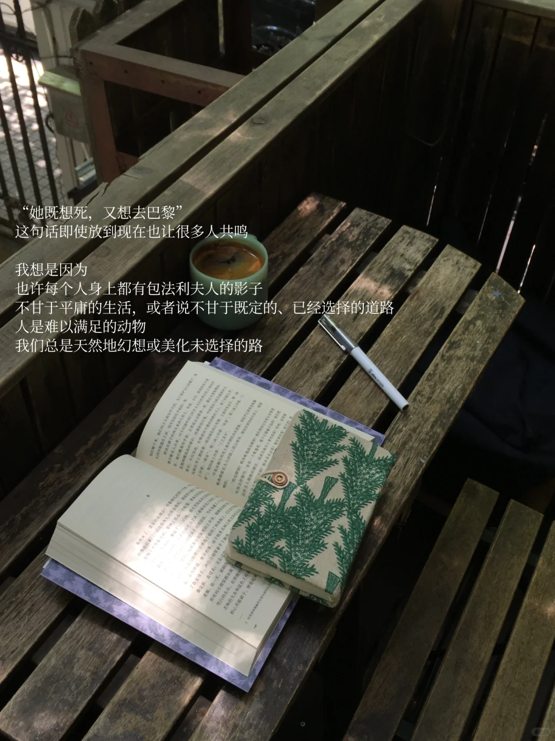 她的周末，独处、读书、晒太阳，平静也自由。