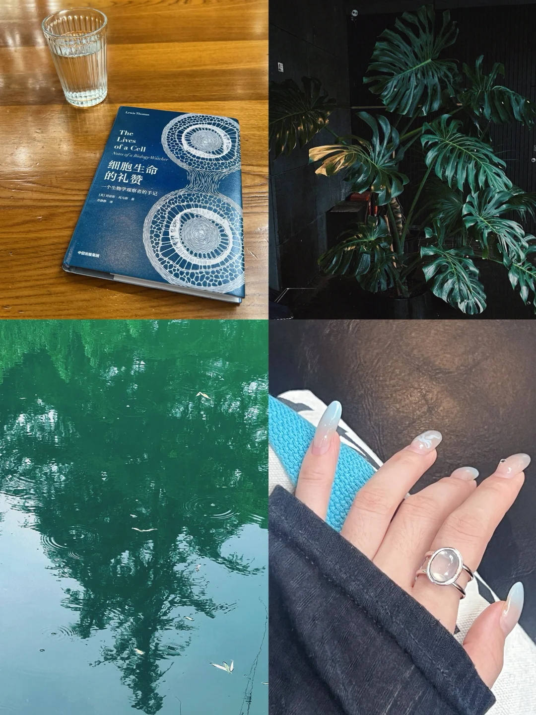 她的周末｜独处，读书，听雨，平静且自由🪐