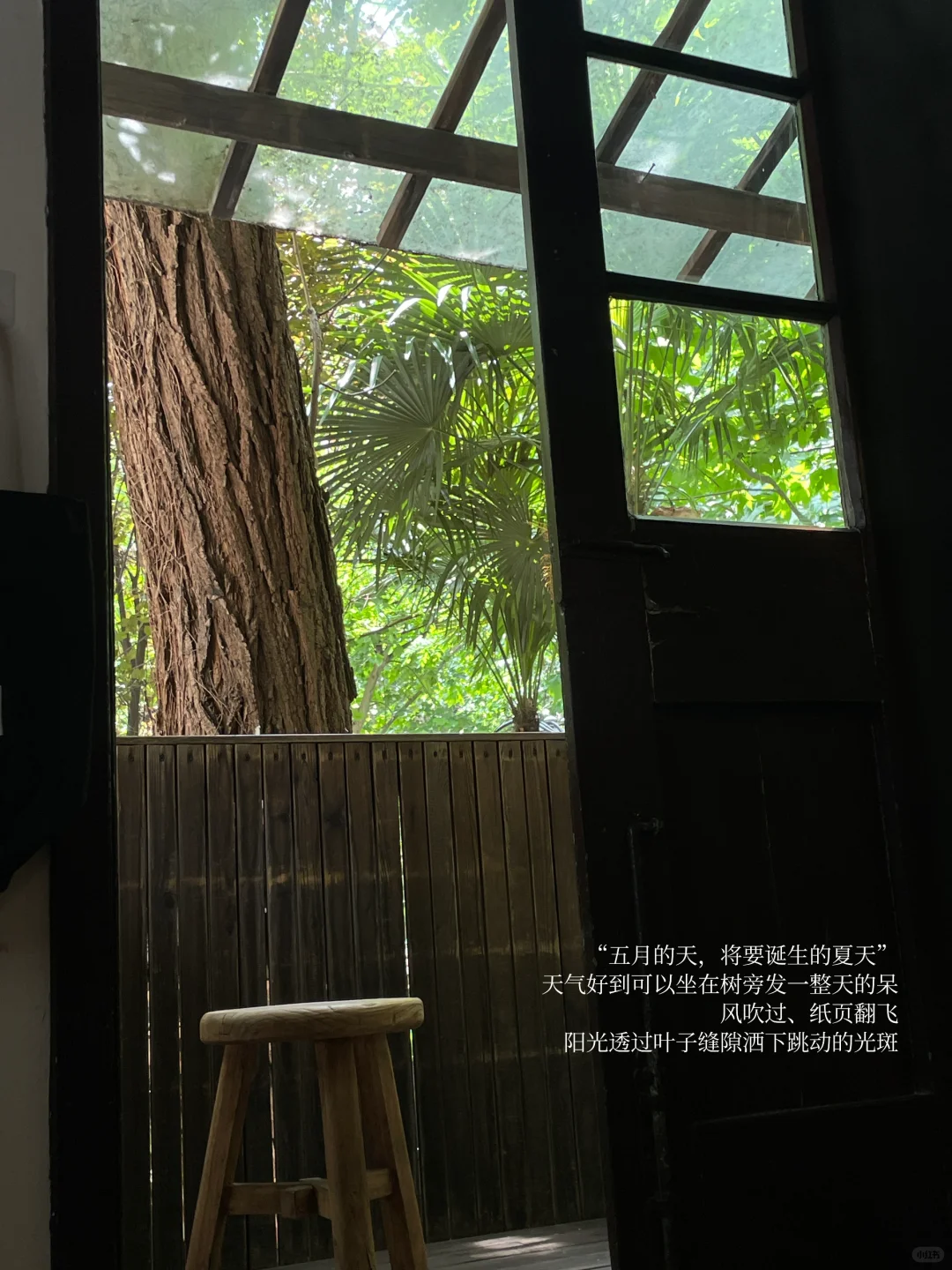 她的周末，独处、读书、晒太阳，平静也自由。