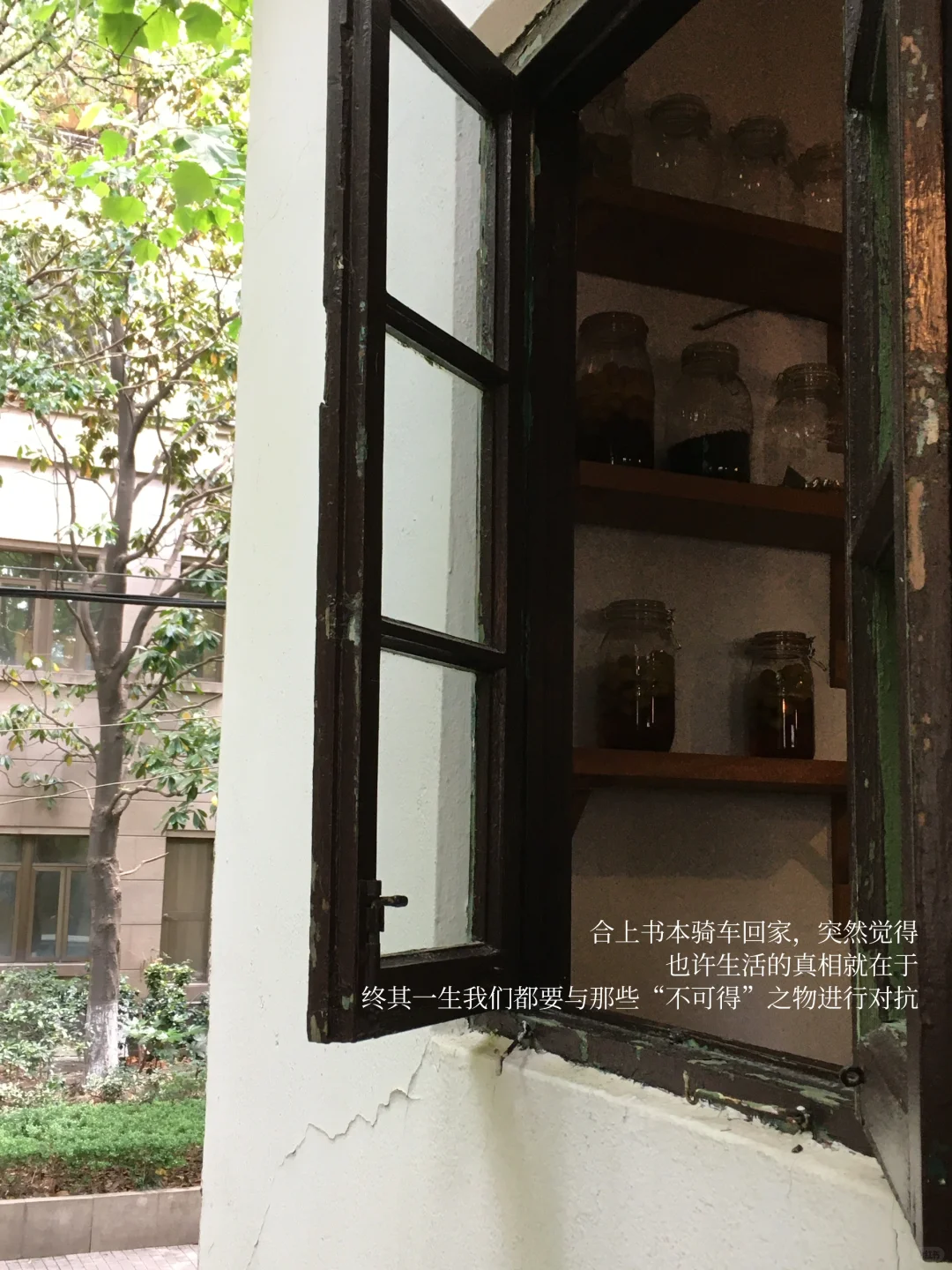 她的周末，独处、读书、晒太阳，平静也自由。